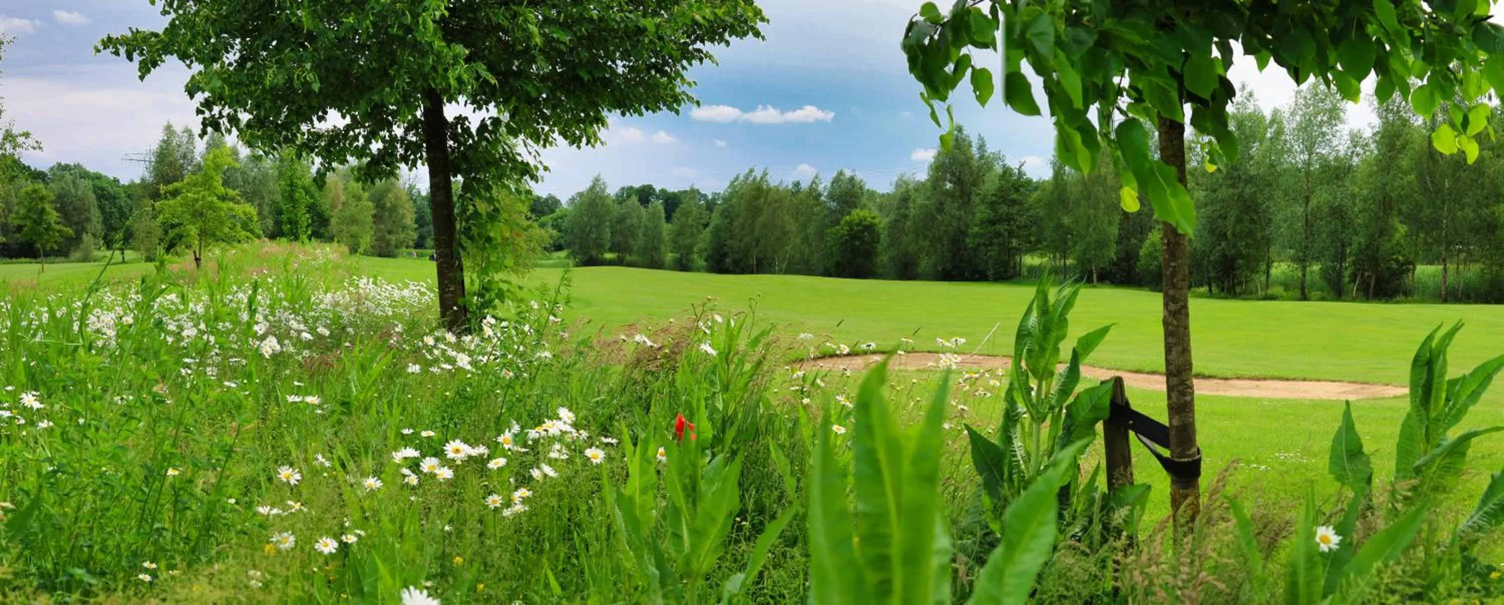 Garden in Aparthotel Delden