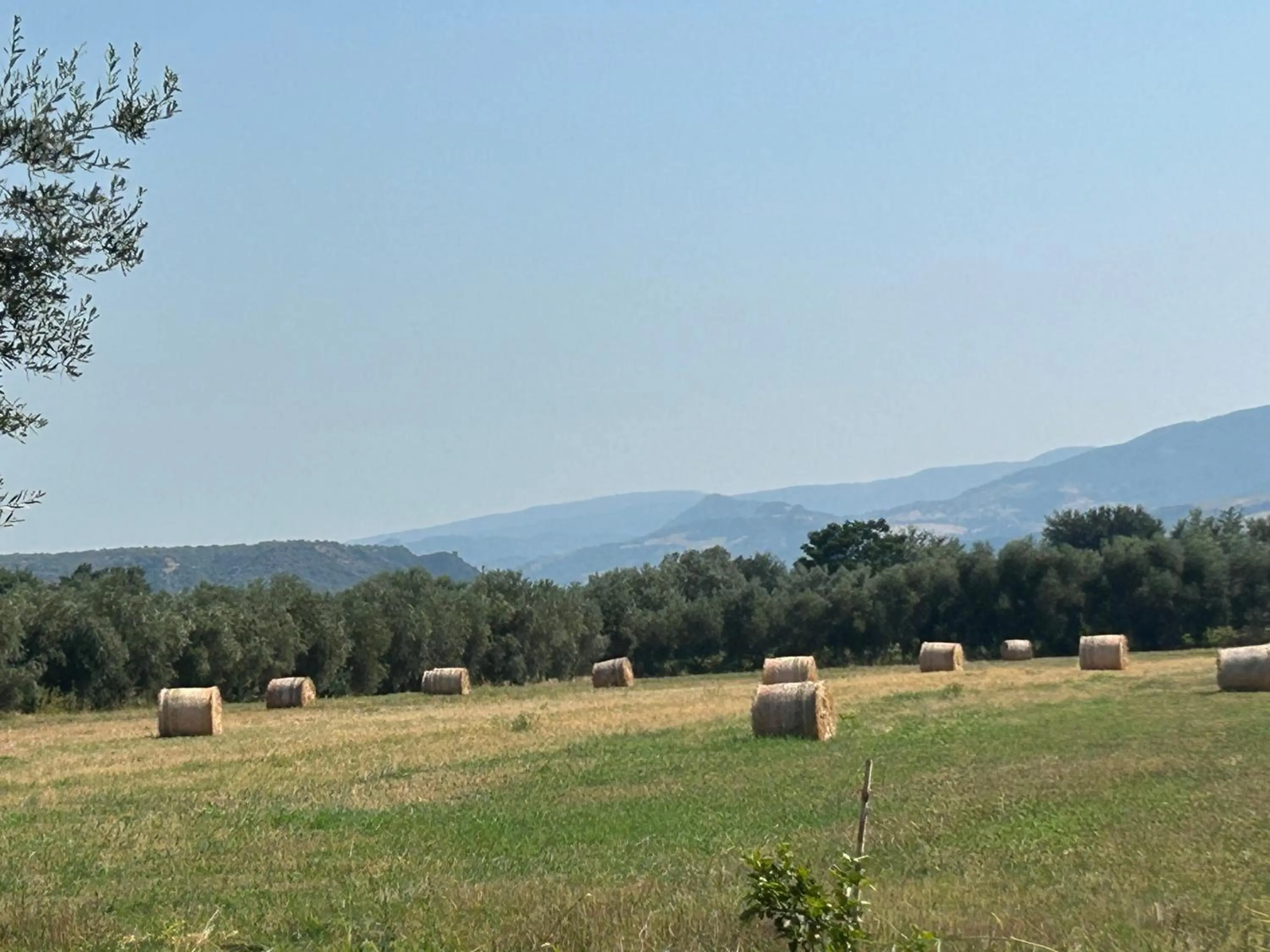 Natural landscape in Hotel Park