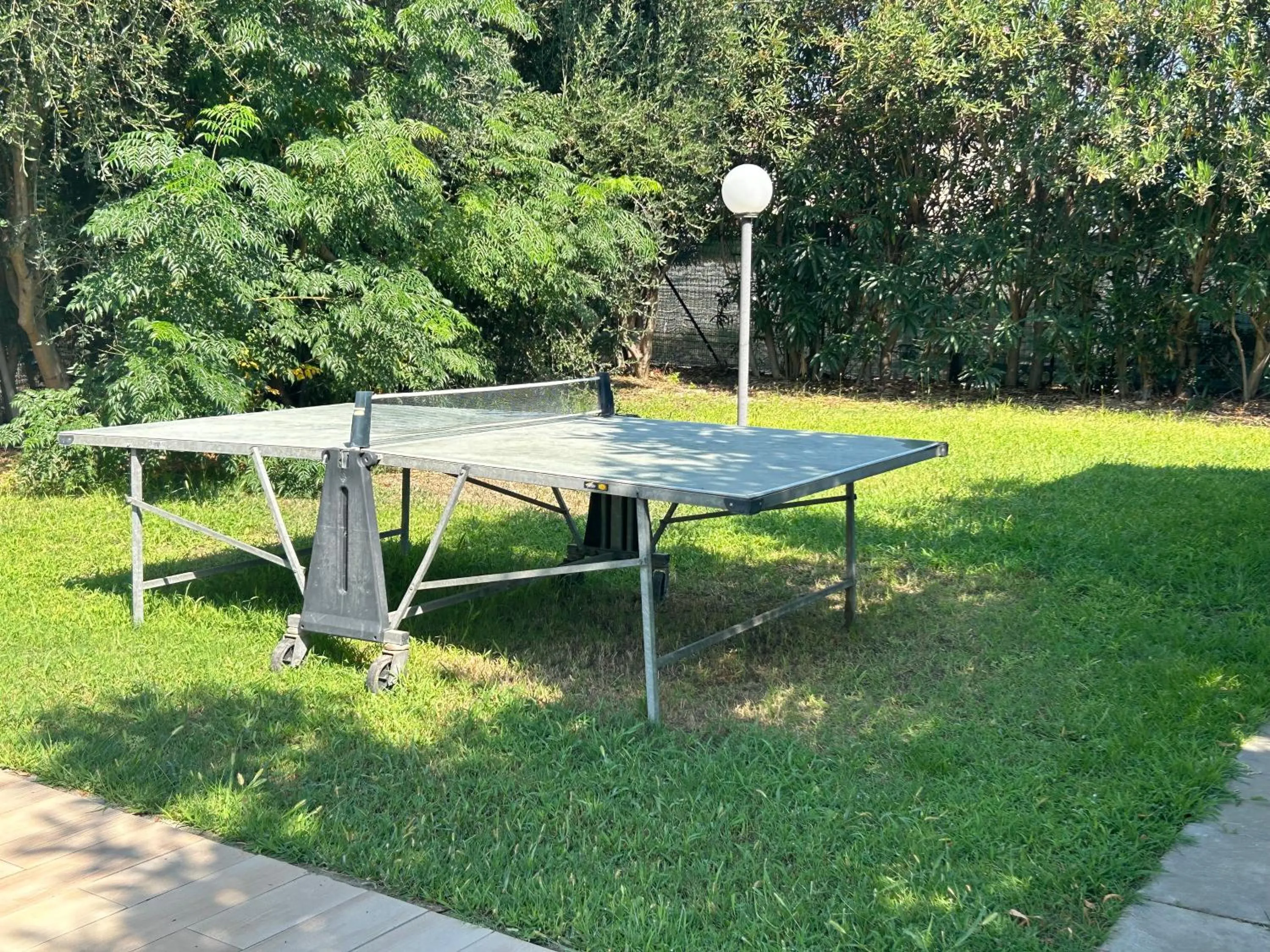 Garden in Hotel Park