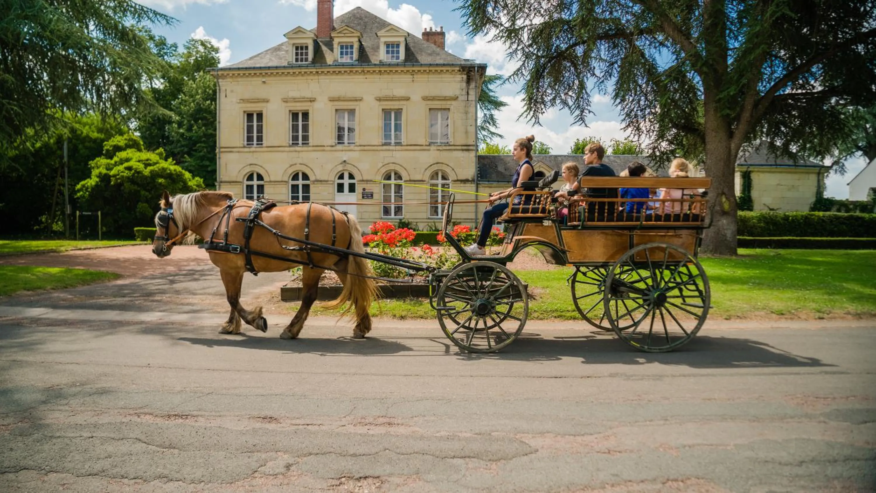 Horse-riding in Domaine de Roiffé
