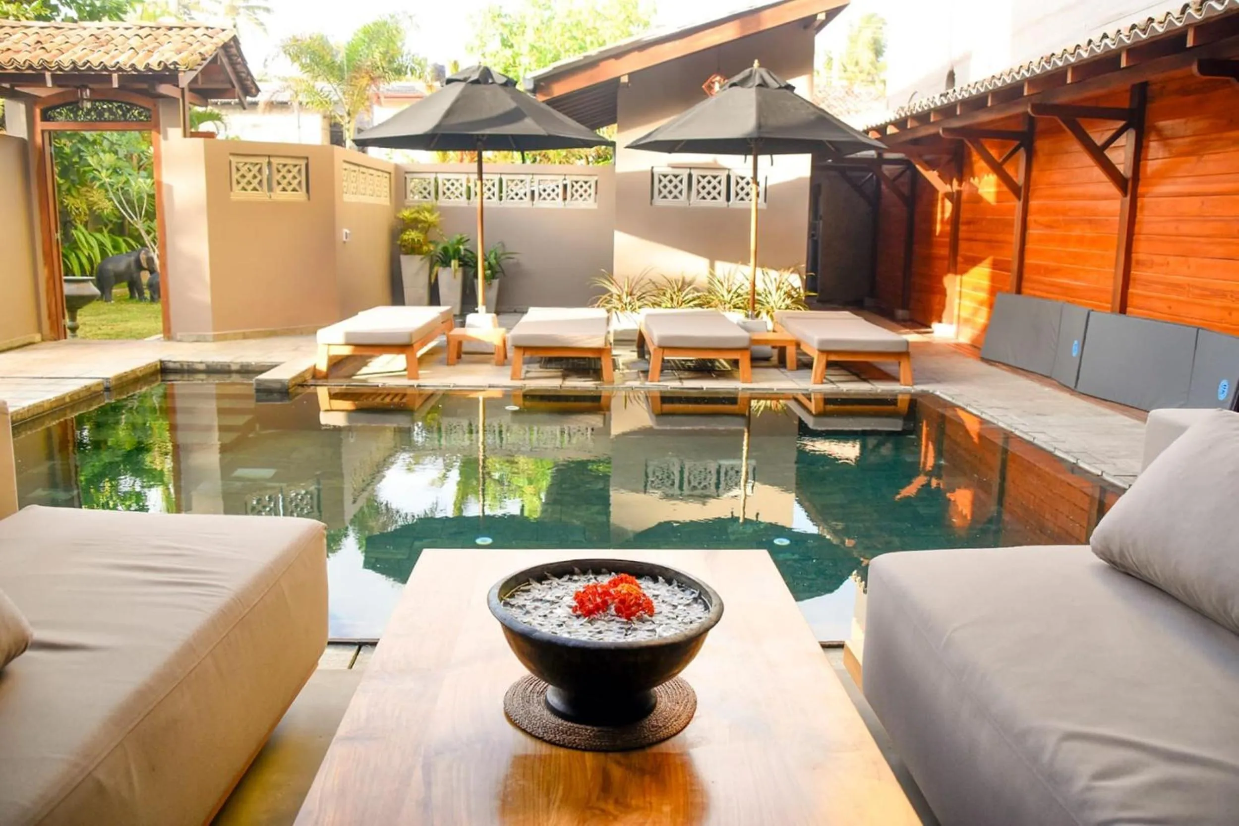 Garden view in BK Beach Boutique Hotel - Hikkaduwa