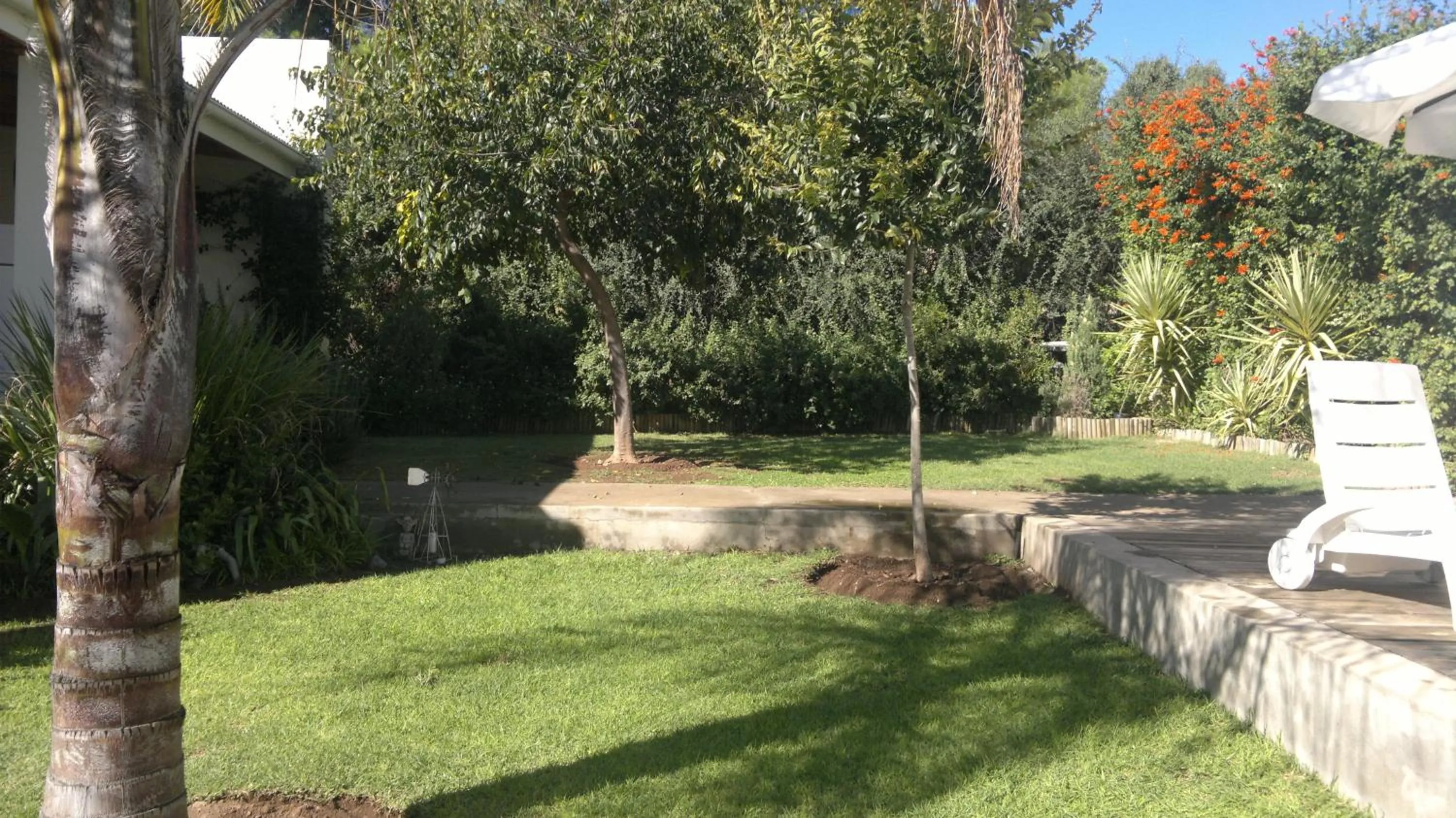 Garden in B&B on Church