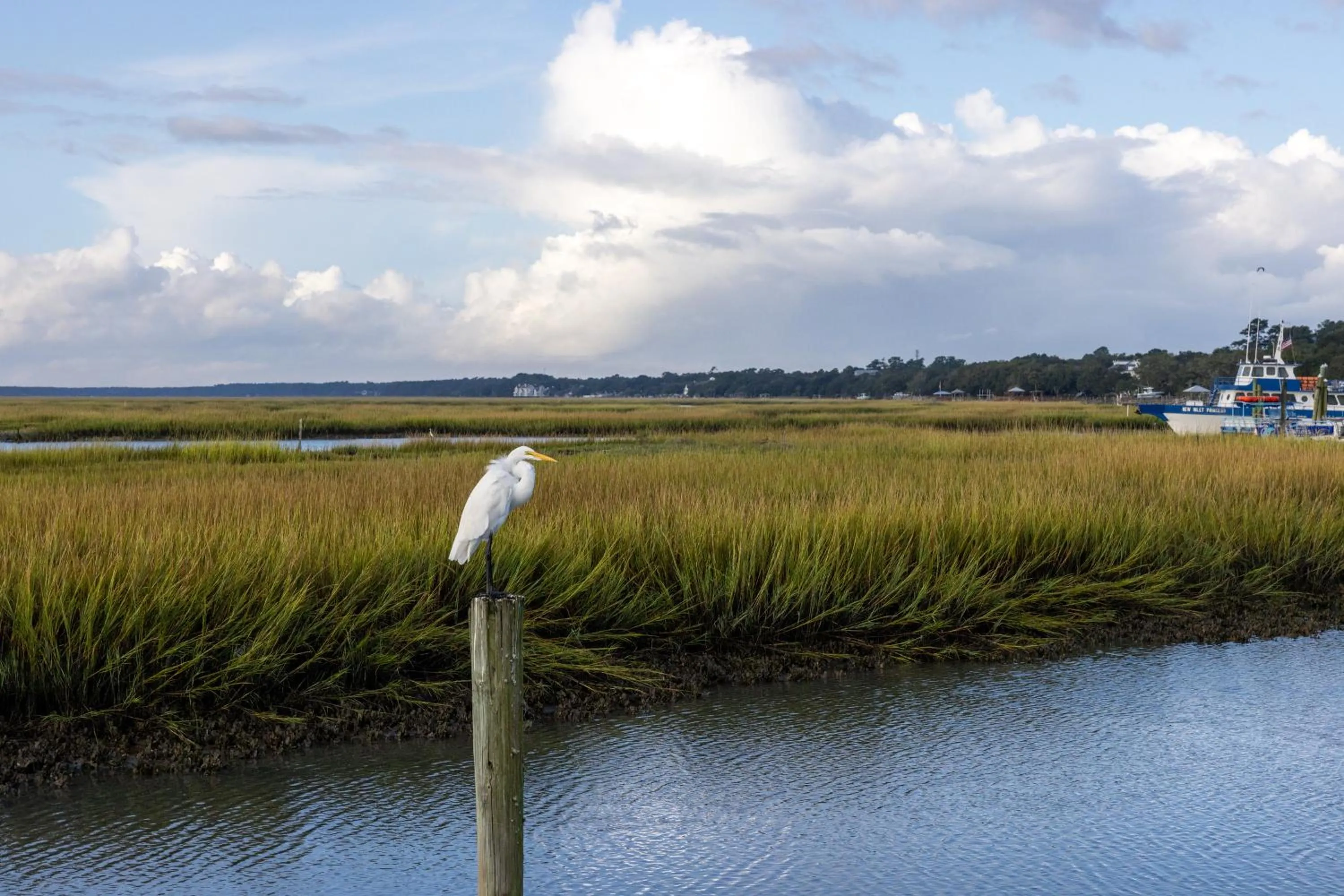 Area and facilities in Sandpebble Beach Club Surfside Beach a Ramada by Wyndham