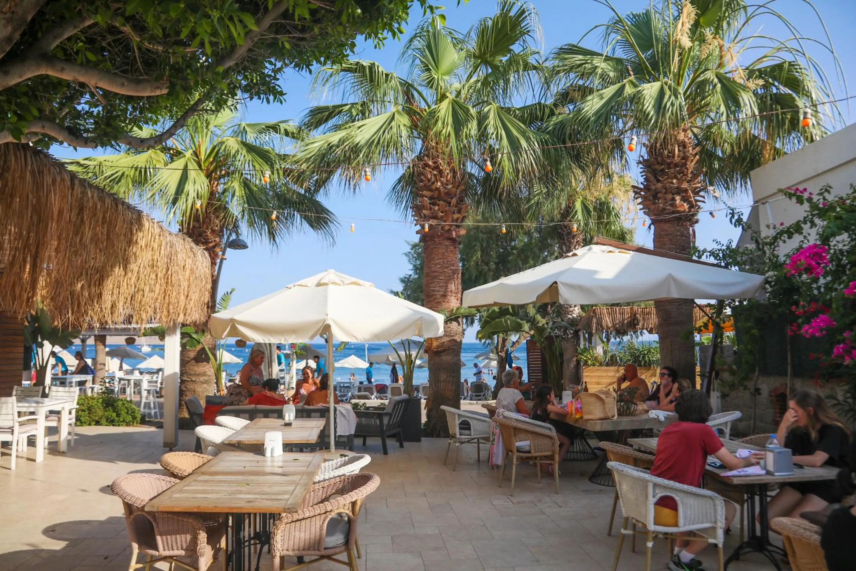 Restaurant/places to eat in Zest Exclusive Hotel & Spa