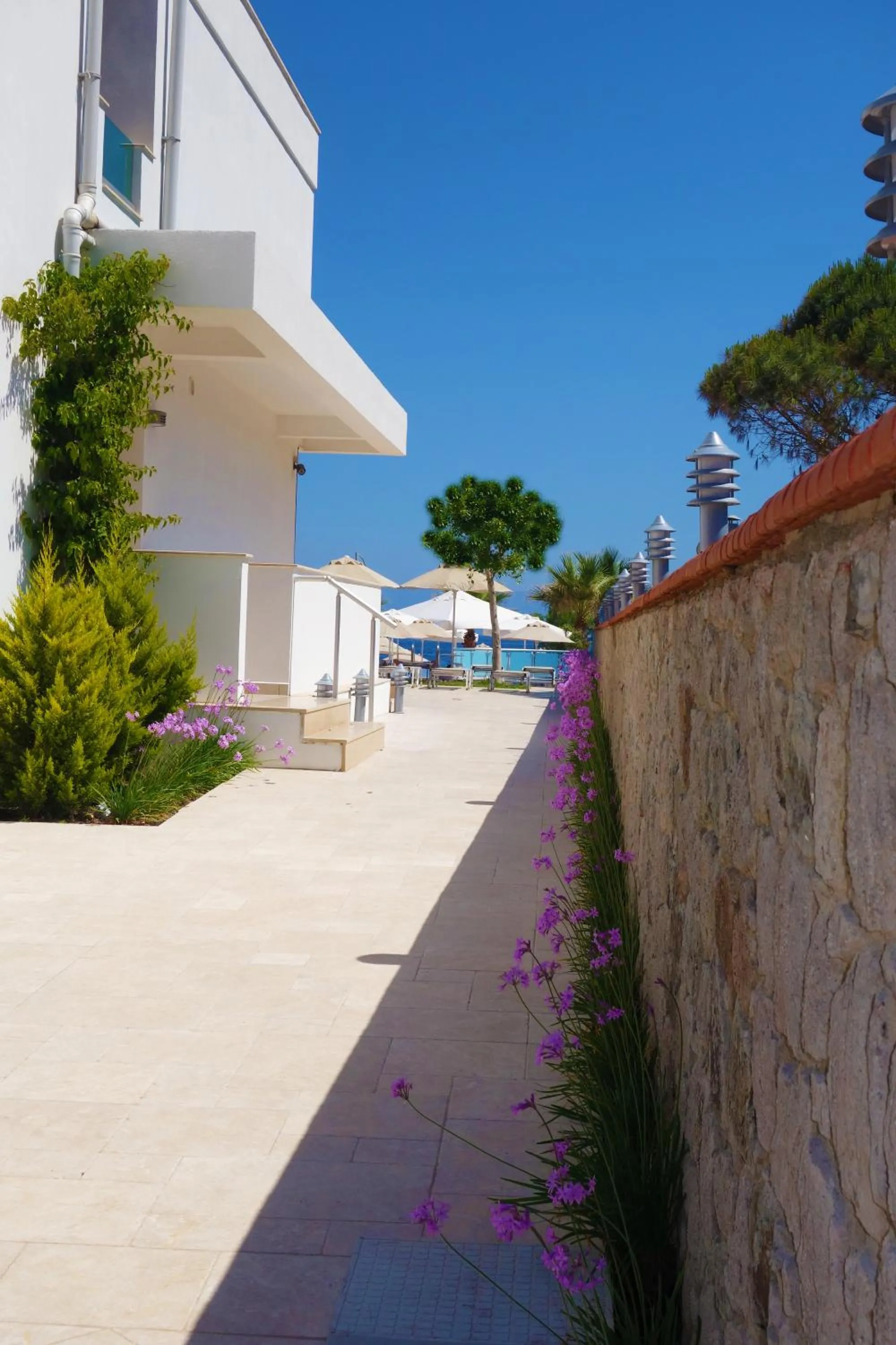 Summer in Zest Exclusive Hotel & Spa