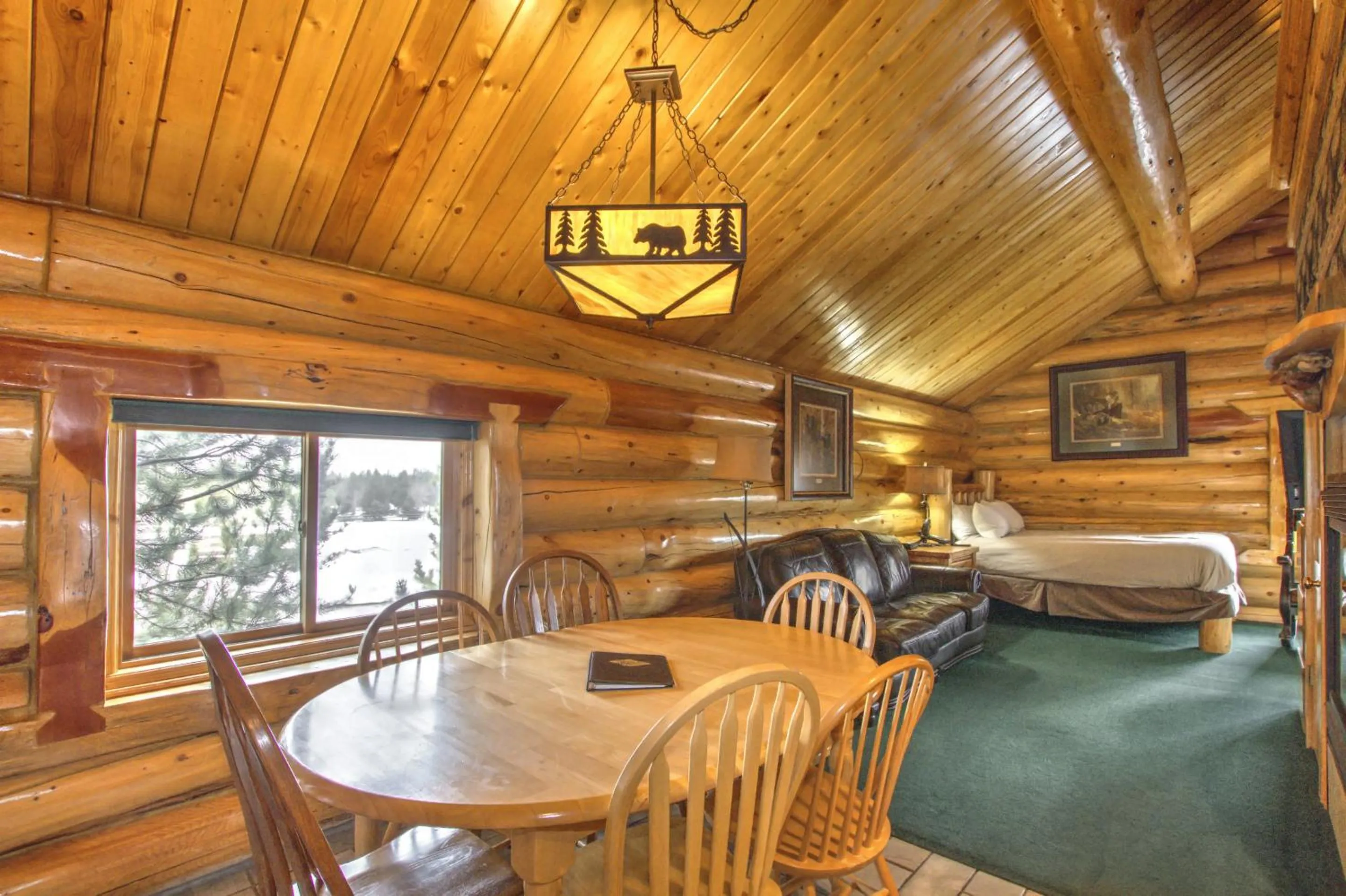 Kitchen or kitchenette in Hibernation Station