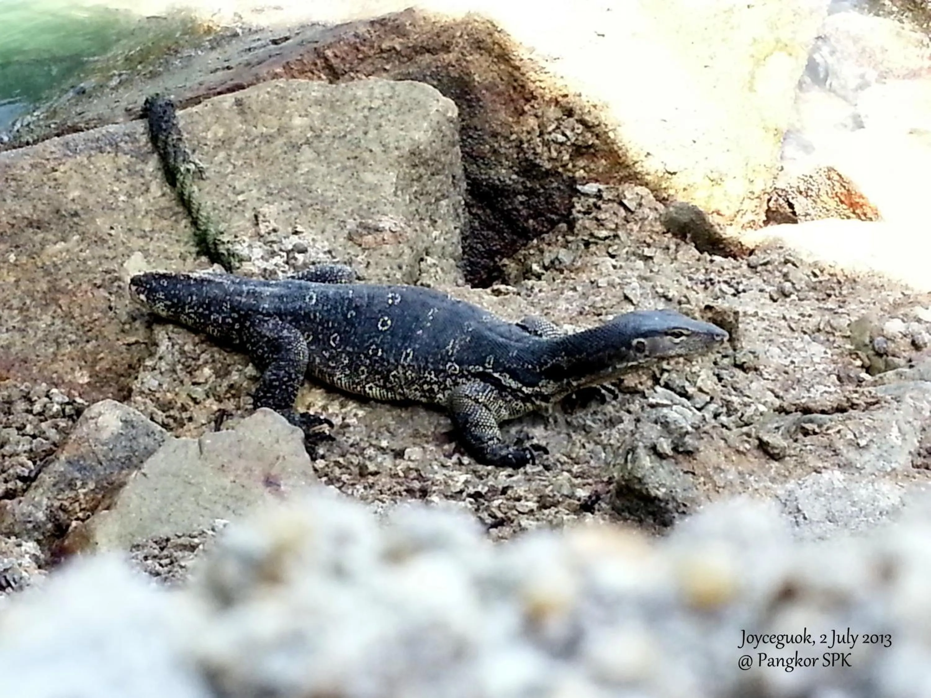 Pangkor Guesthouse SPK