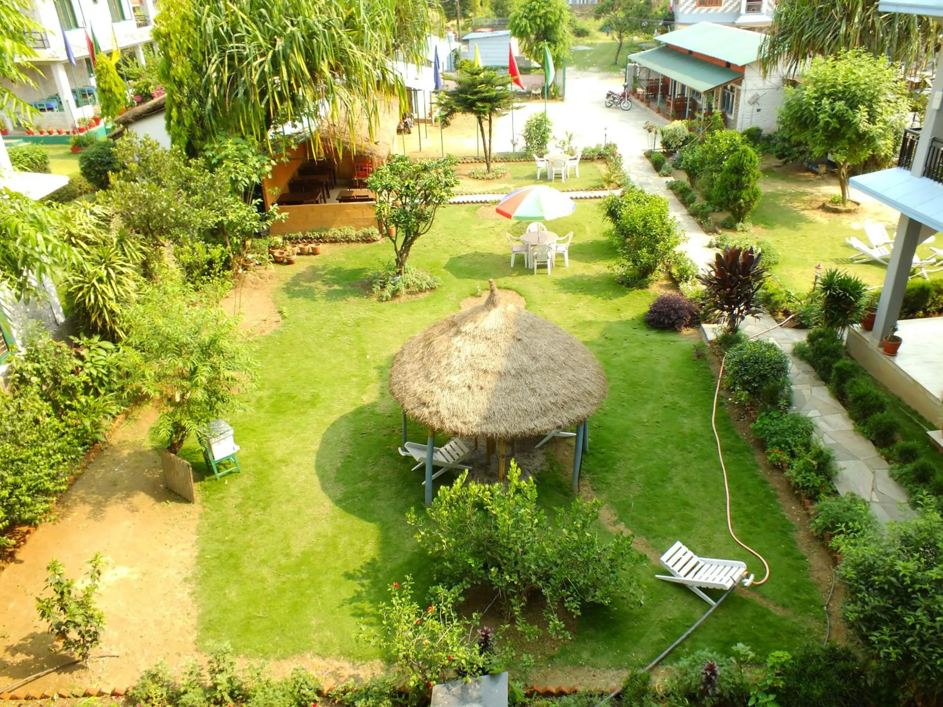 Garden in Hotel Greenland