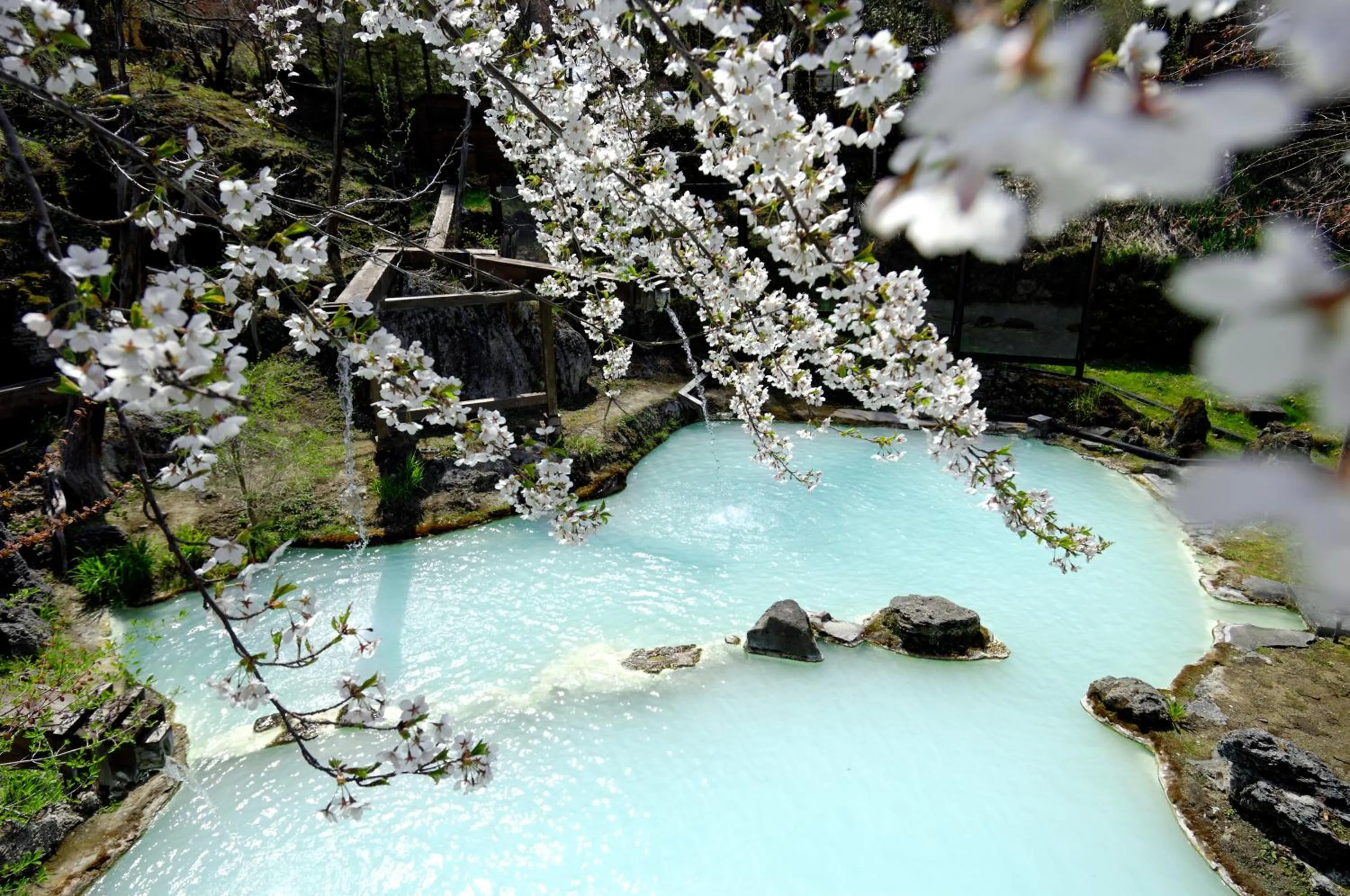 Hot Spring Bath in Awanoyu