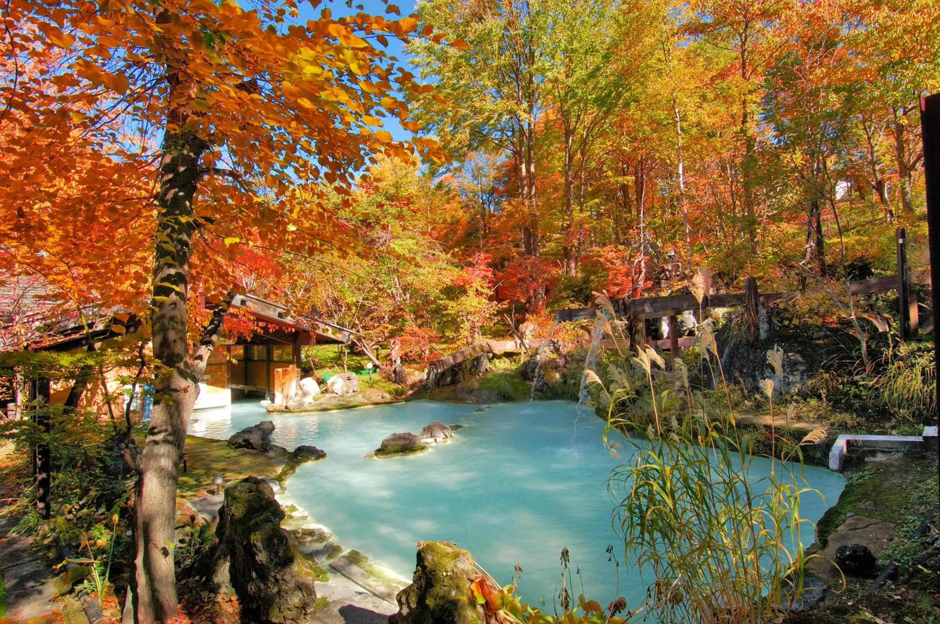 Hot Spring Bath in Awanoyu