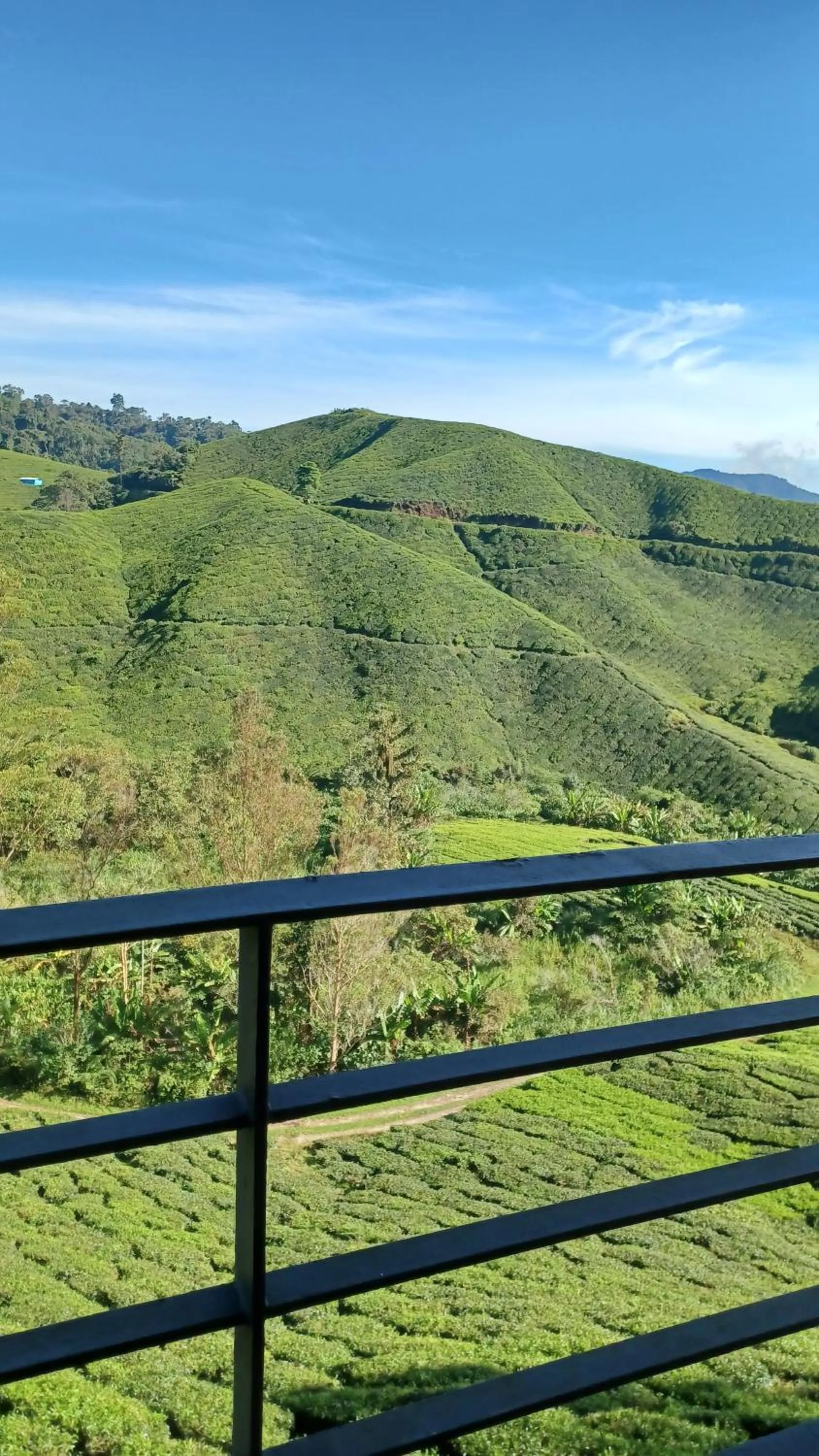 BRICKS Cameron Hostel