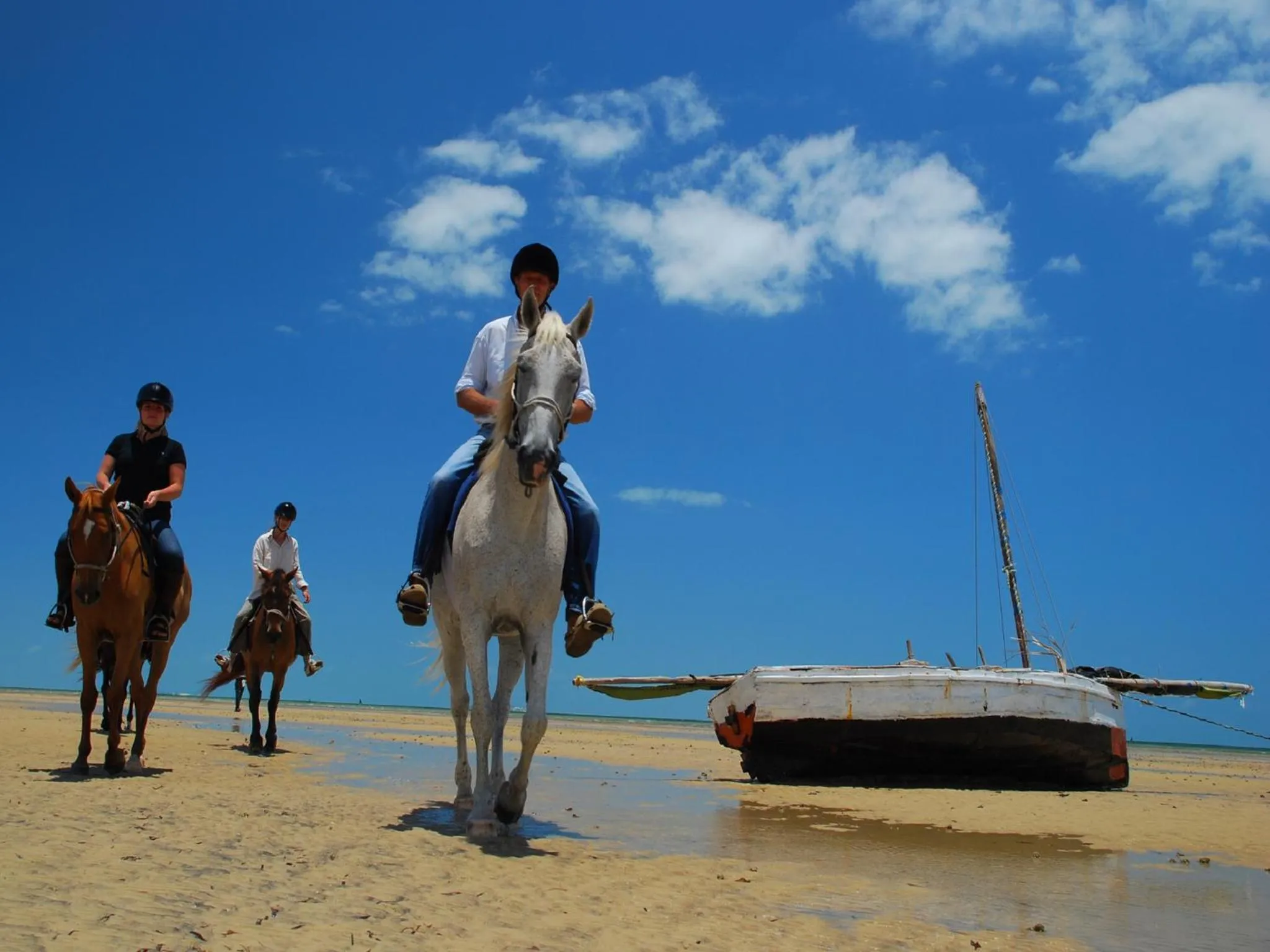 Horse-riding in Bahia Mar Boutique Hotel
