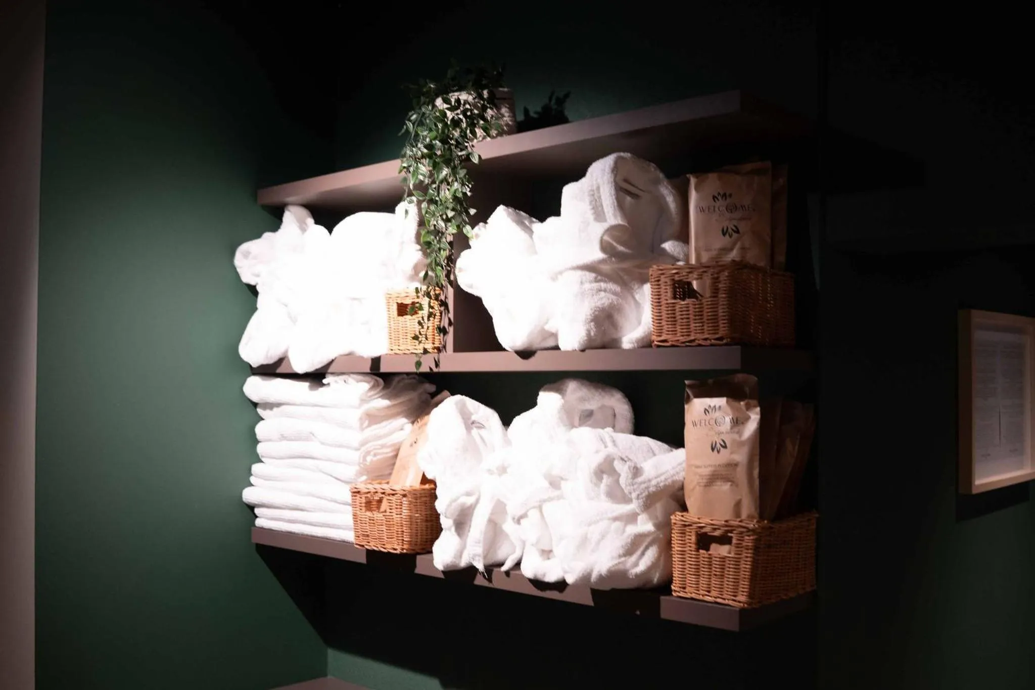 Sauna in Hotel Lonca