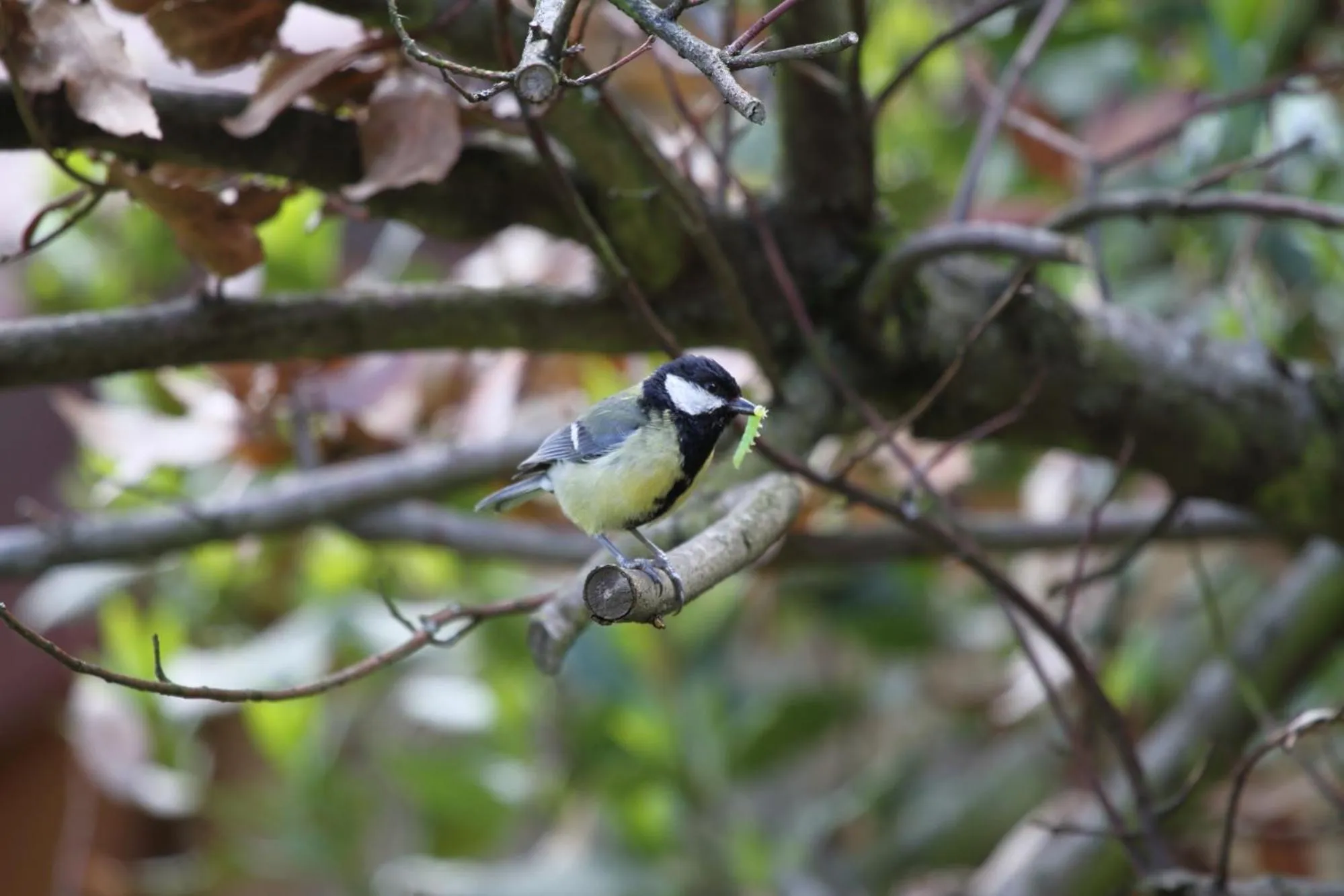 Natural landscape in La ferme de Berlioz
