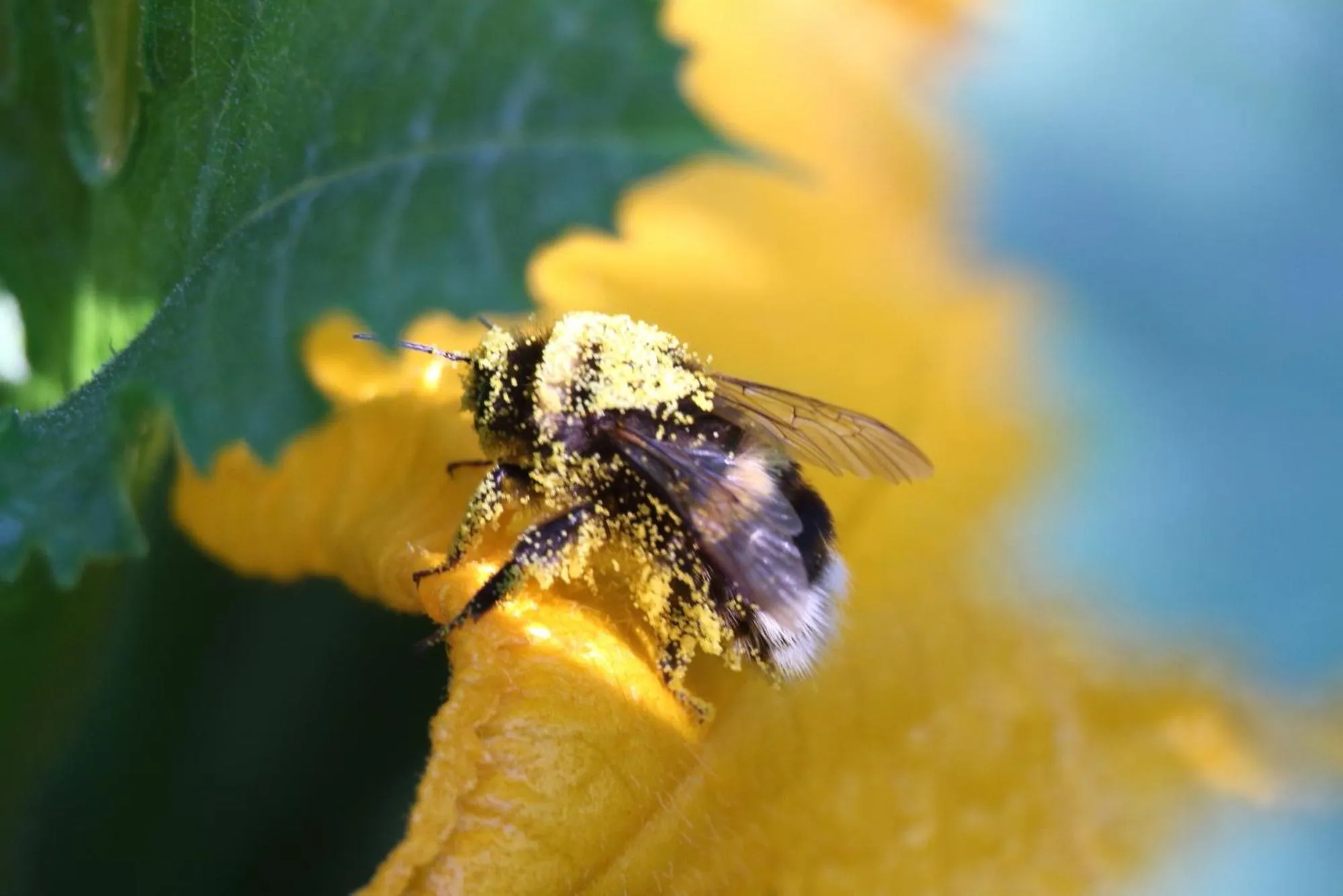 Natural landscape in La ferme de Berlioz