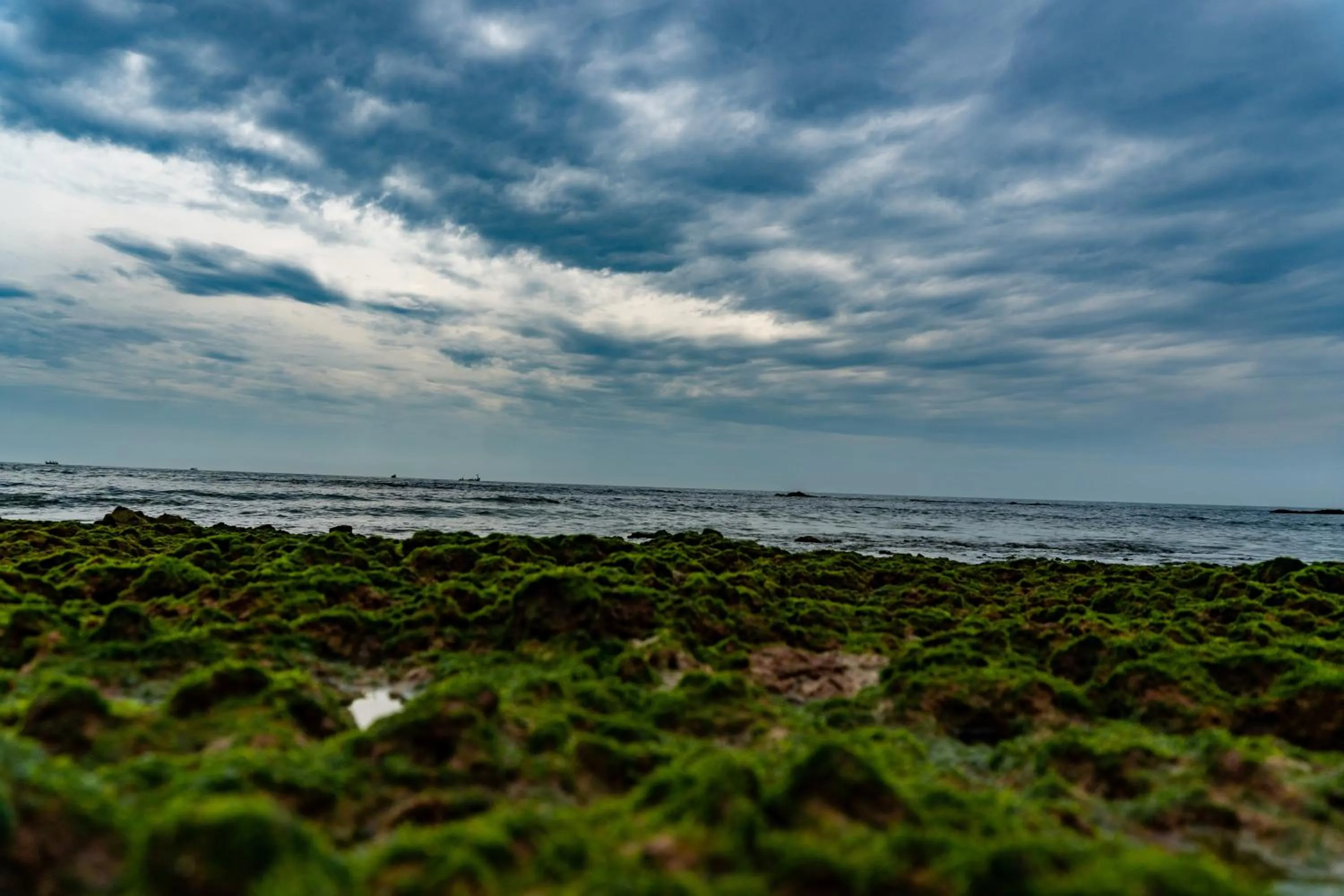 Vista Praia Beach Resort