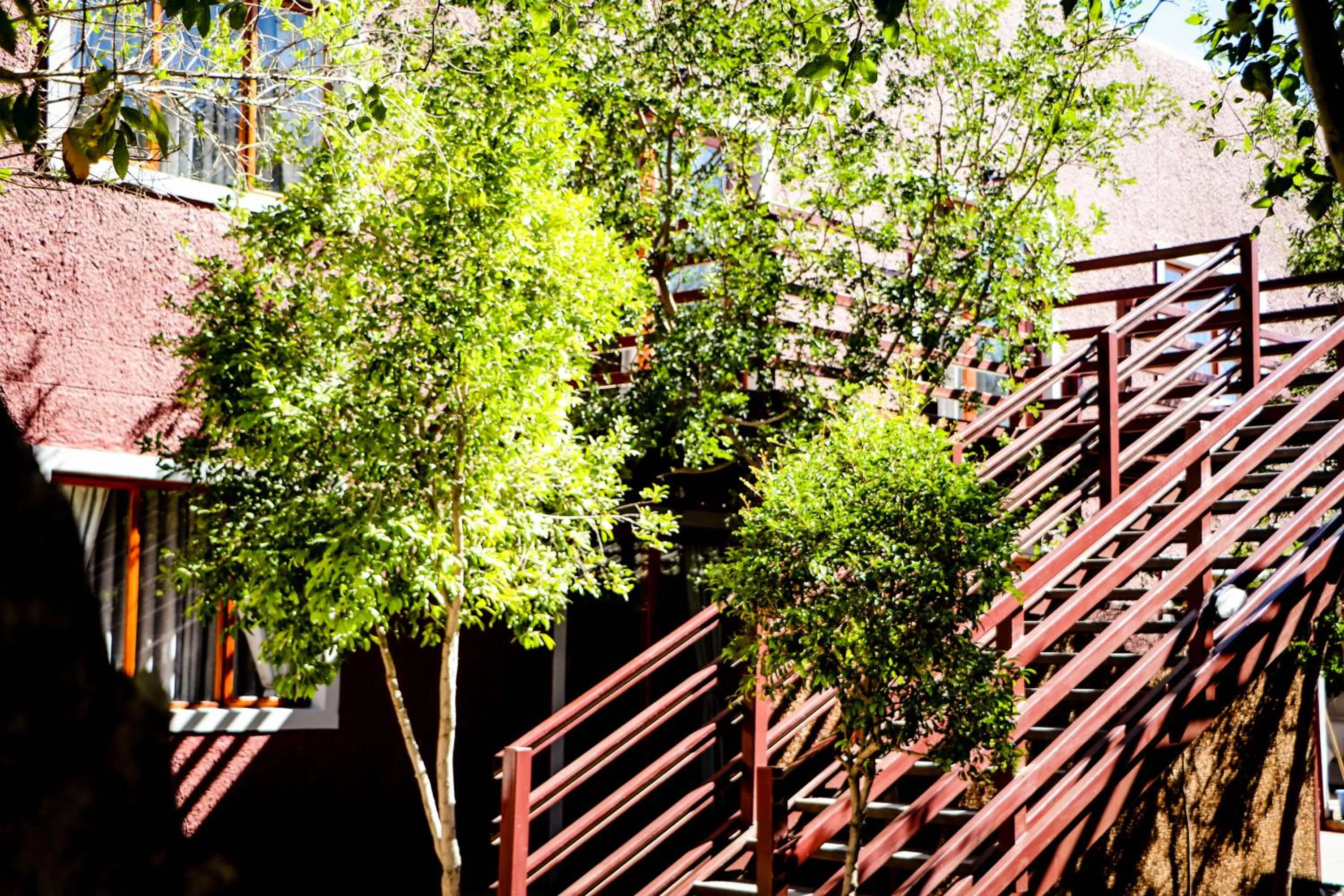 Garden in Windhoek Gardens Boutique Hotel