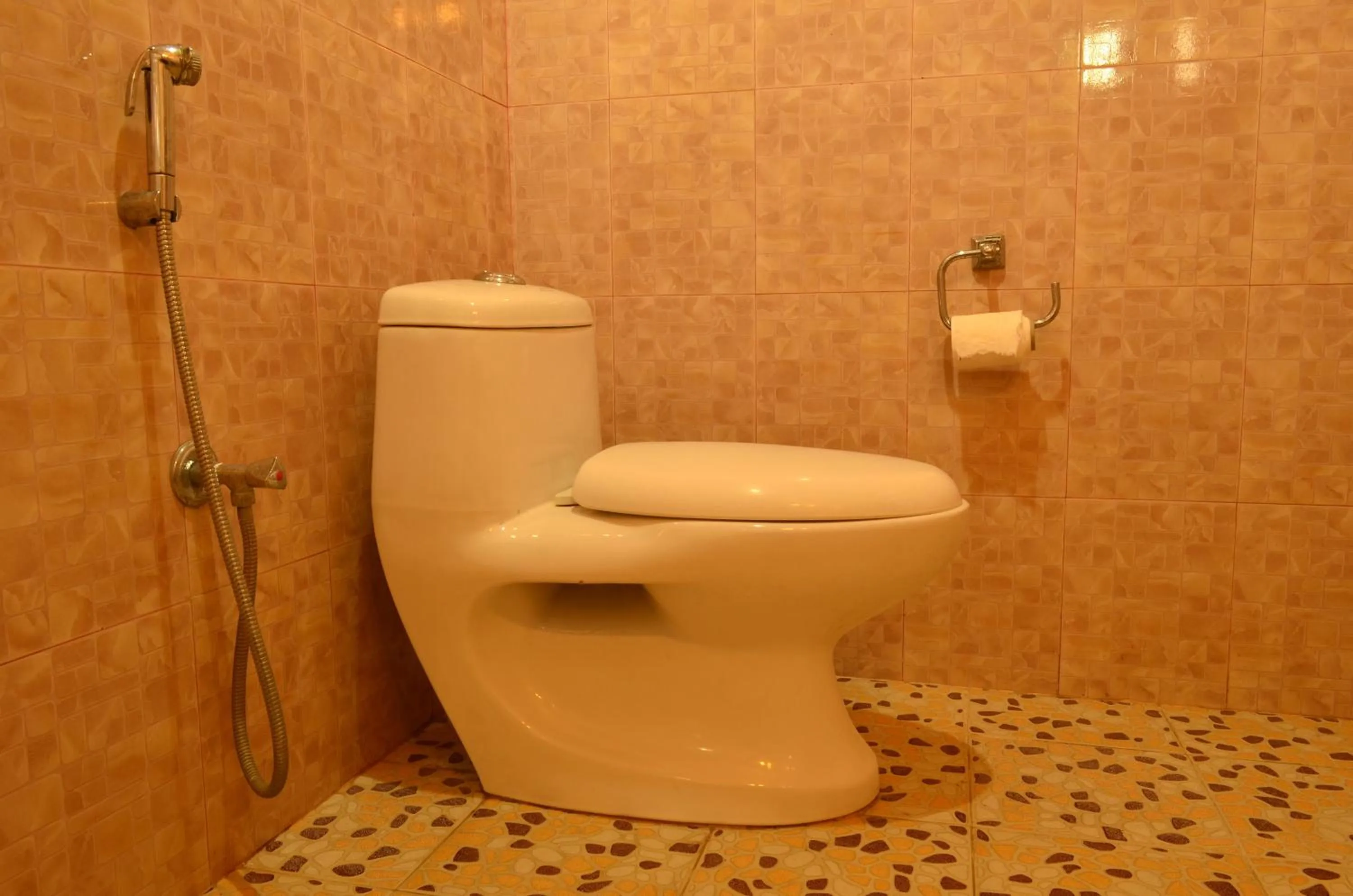 Toilet in Hotel Hermitage