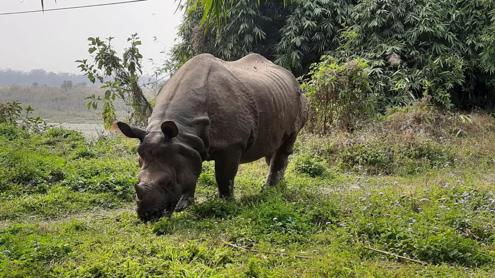 Natural landscape in Hotel Hermitage