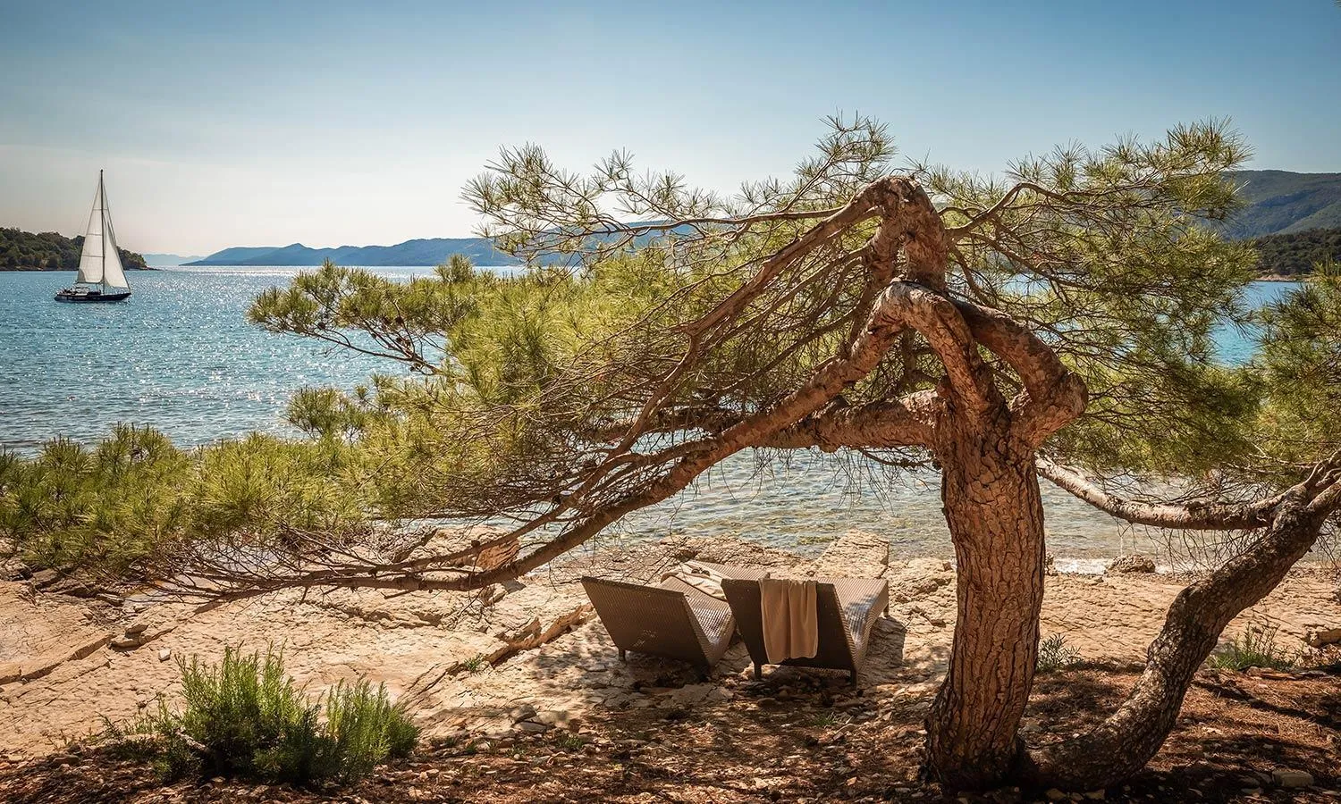 Day in Aminess Younique Senses Resort