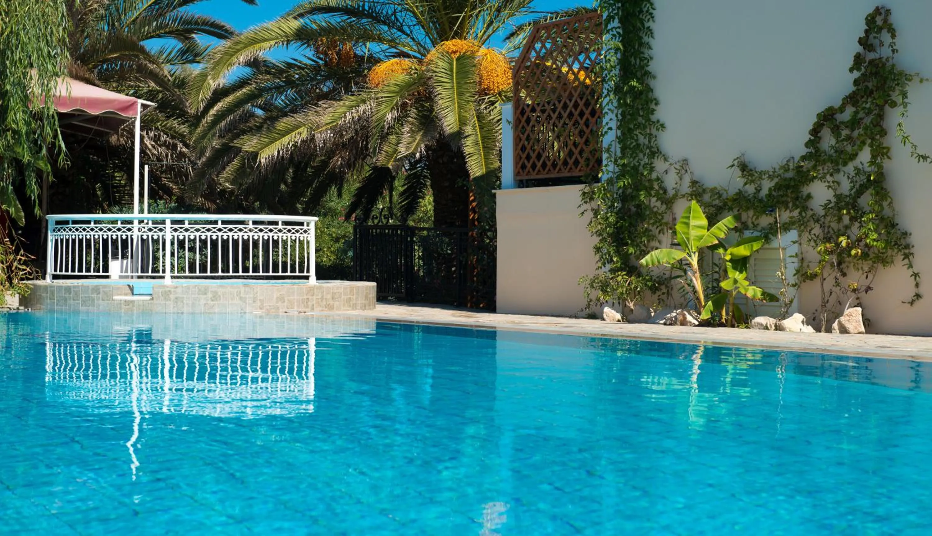 Swimming pool in California Beach Hotel - Adults Only