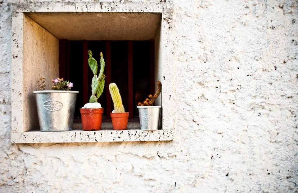 Garden in B&b Parco Alta Murgia