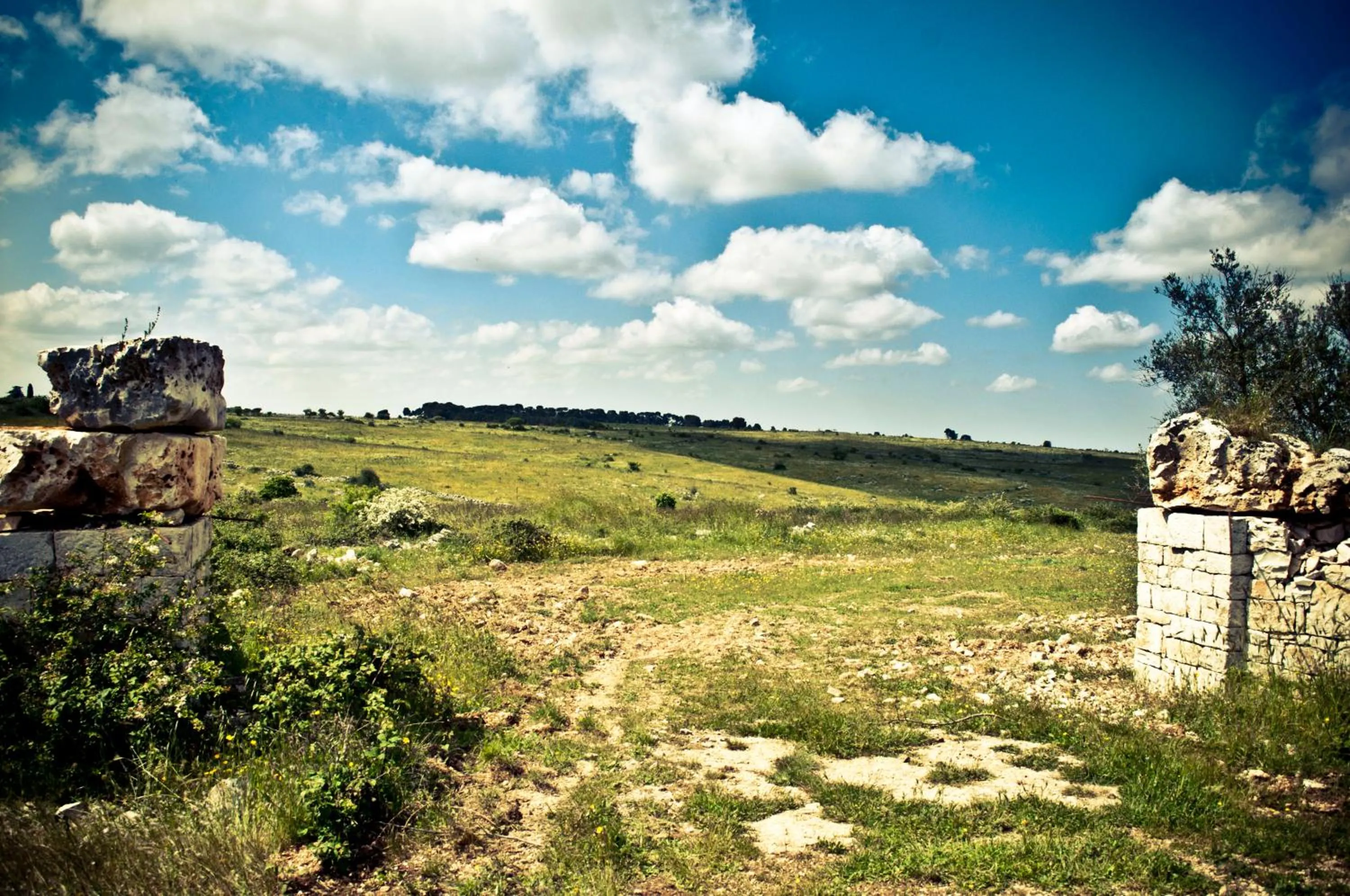 View (from property/room) in B&b Parco Alta Murgia