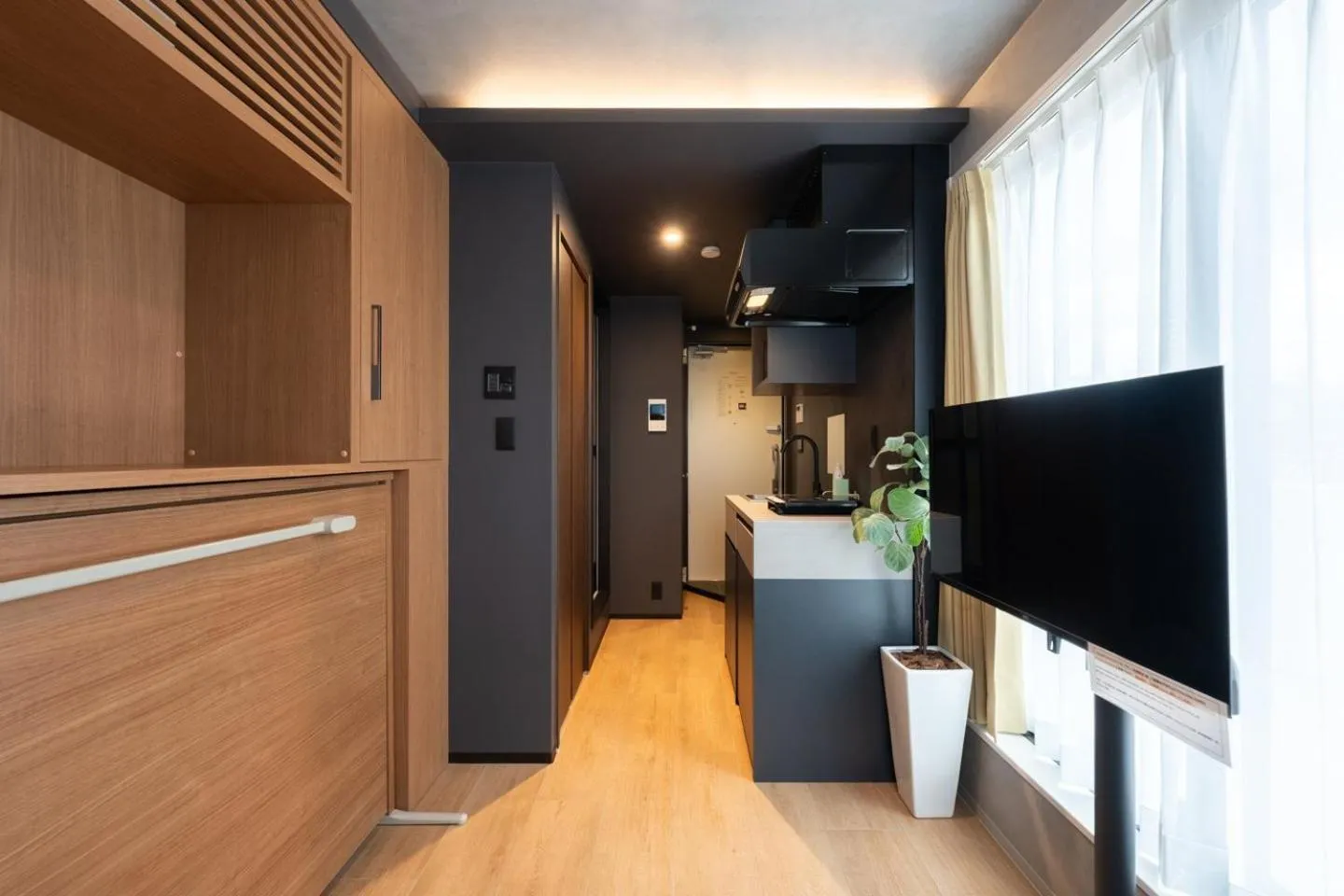 TV and multimedia in D-WASEDA