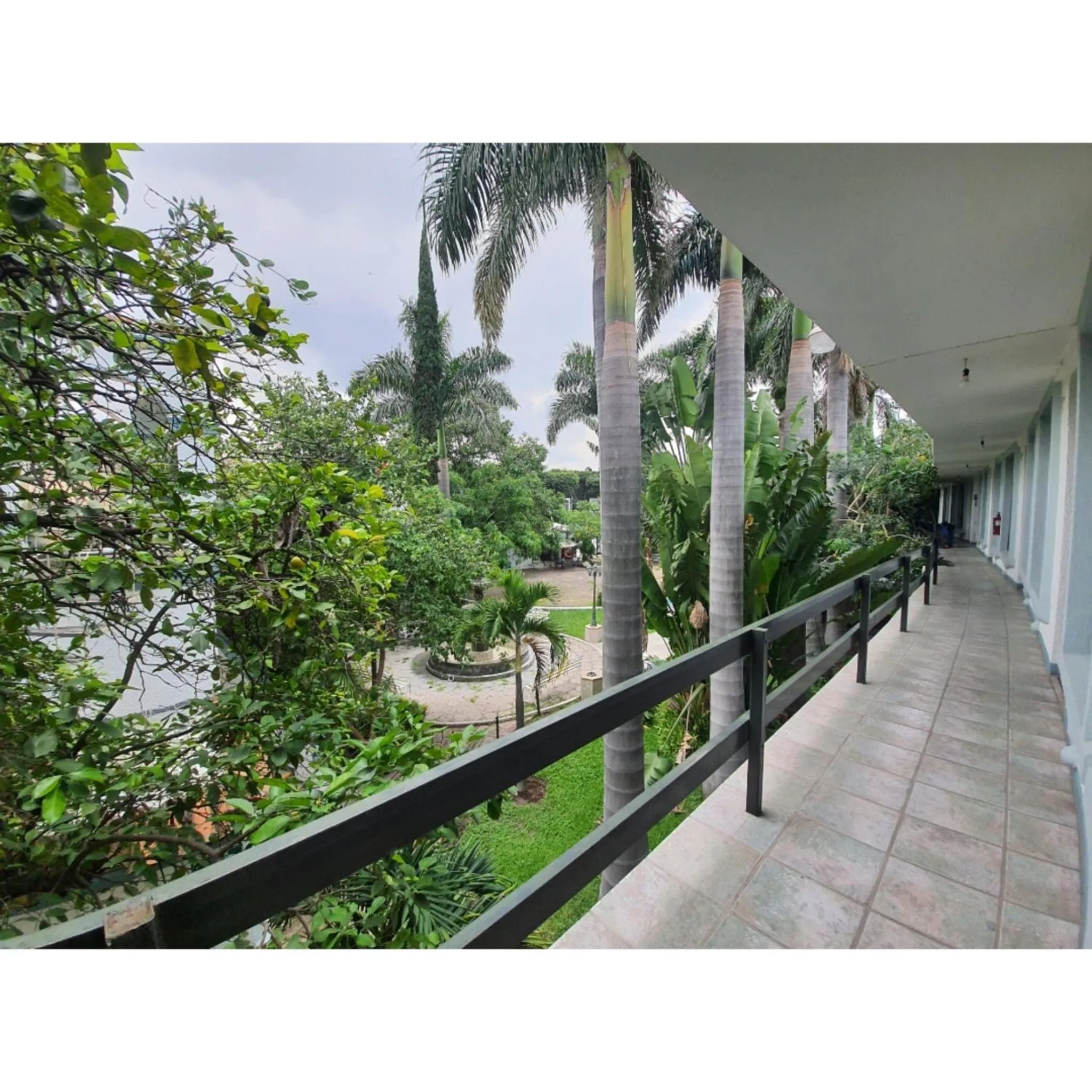 Garden view in Hotel Posada Santa Fe