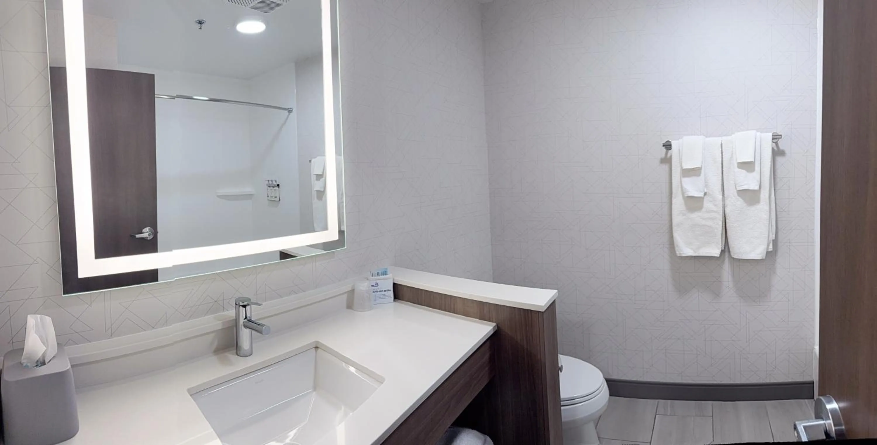 Bathroom in Holiday Inn Express & Suites Mansfield - Ontario by IHG