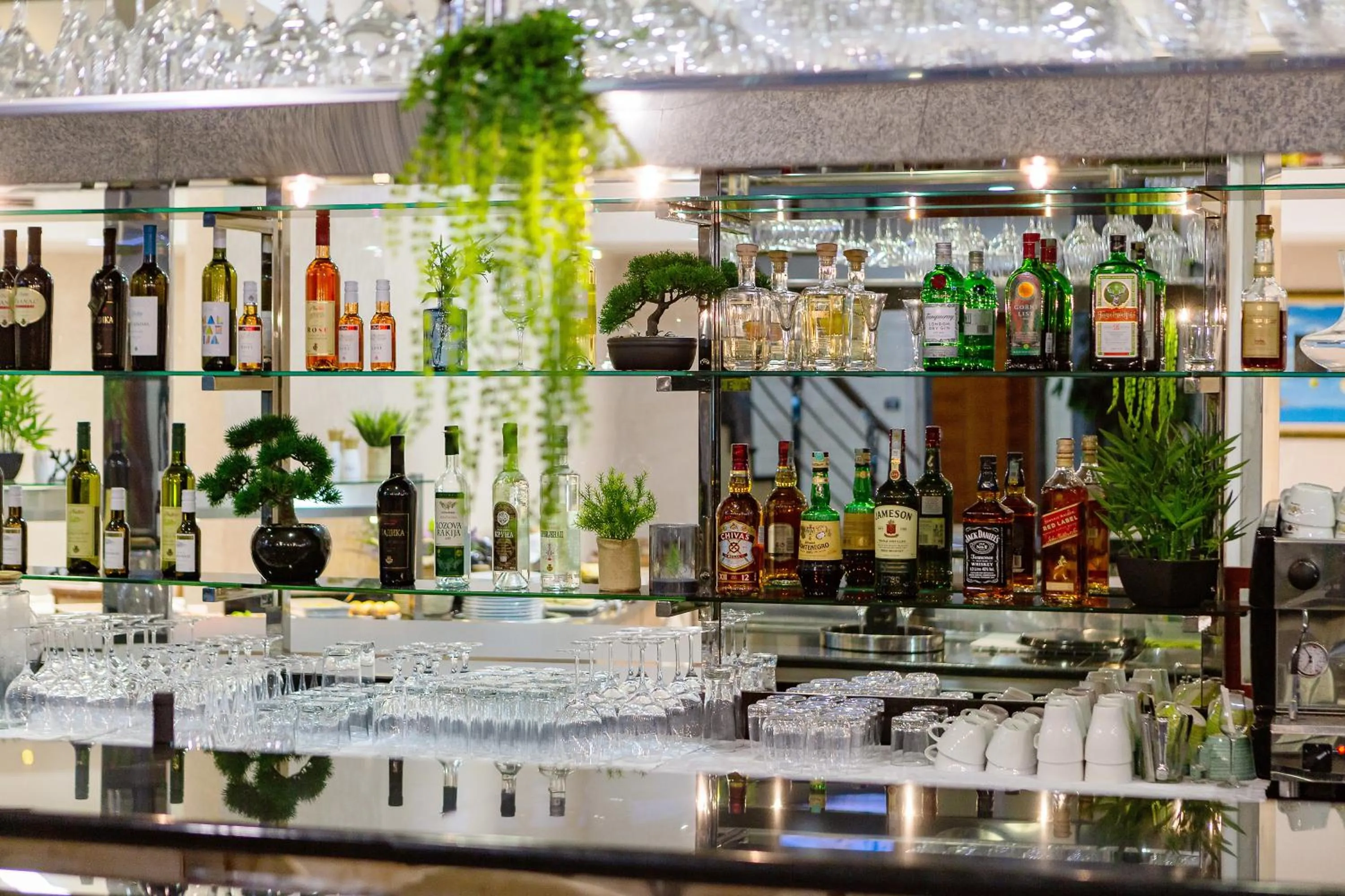 Lounge or bar in Kings Park Hotel