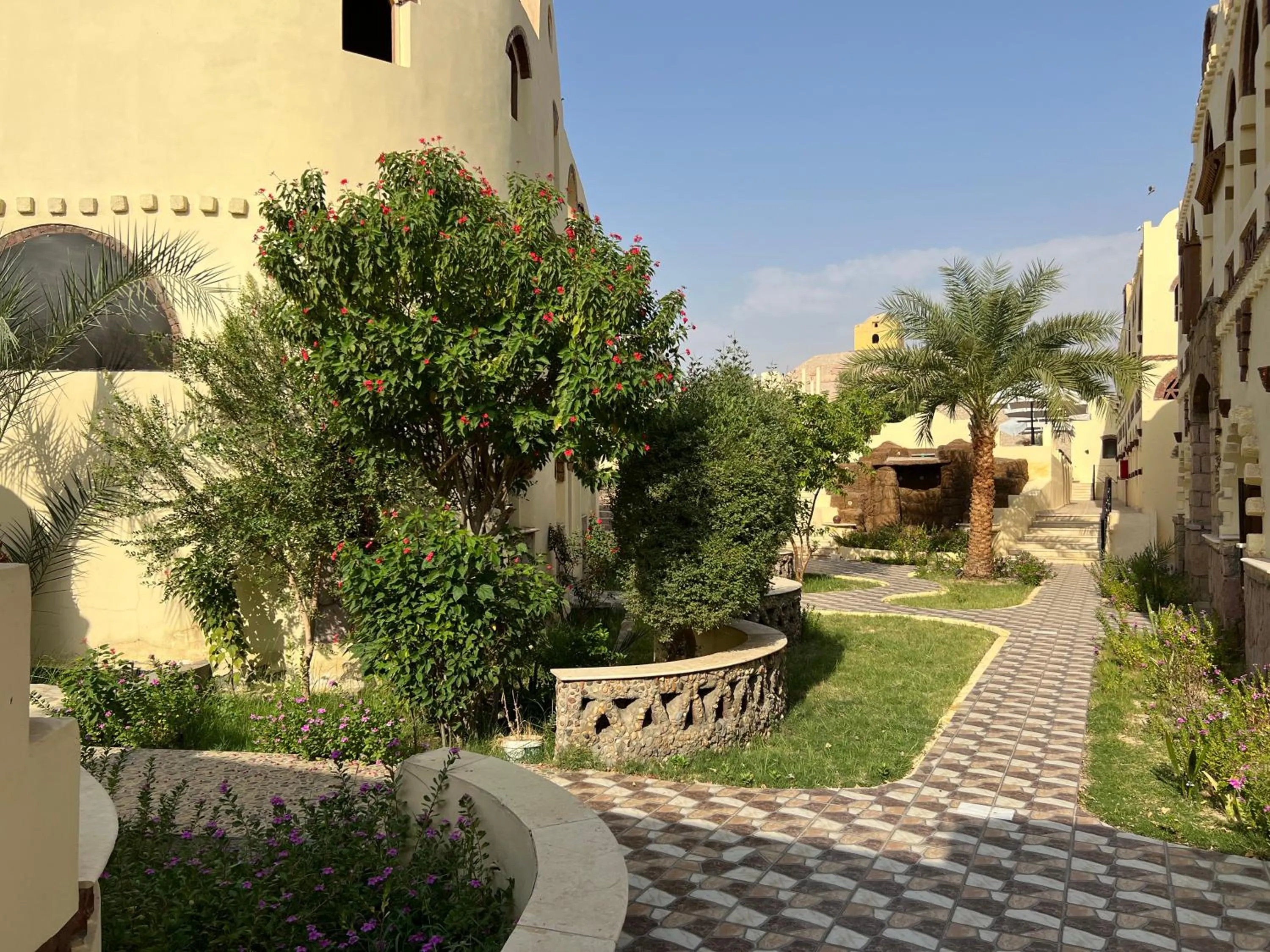 Garden in Elphardous Oasis Hotel
