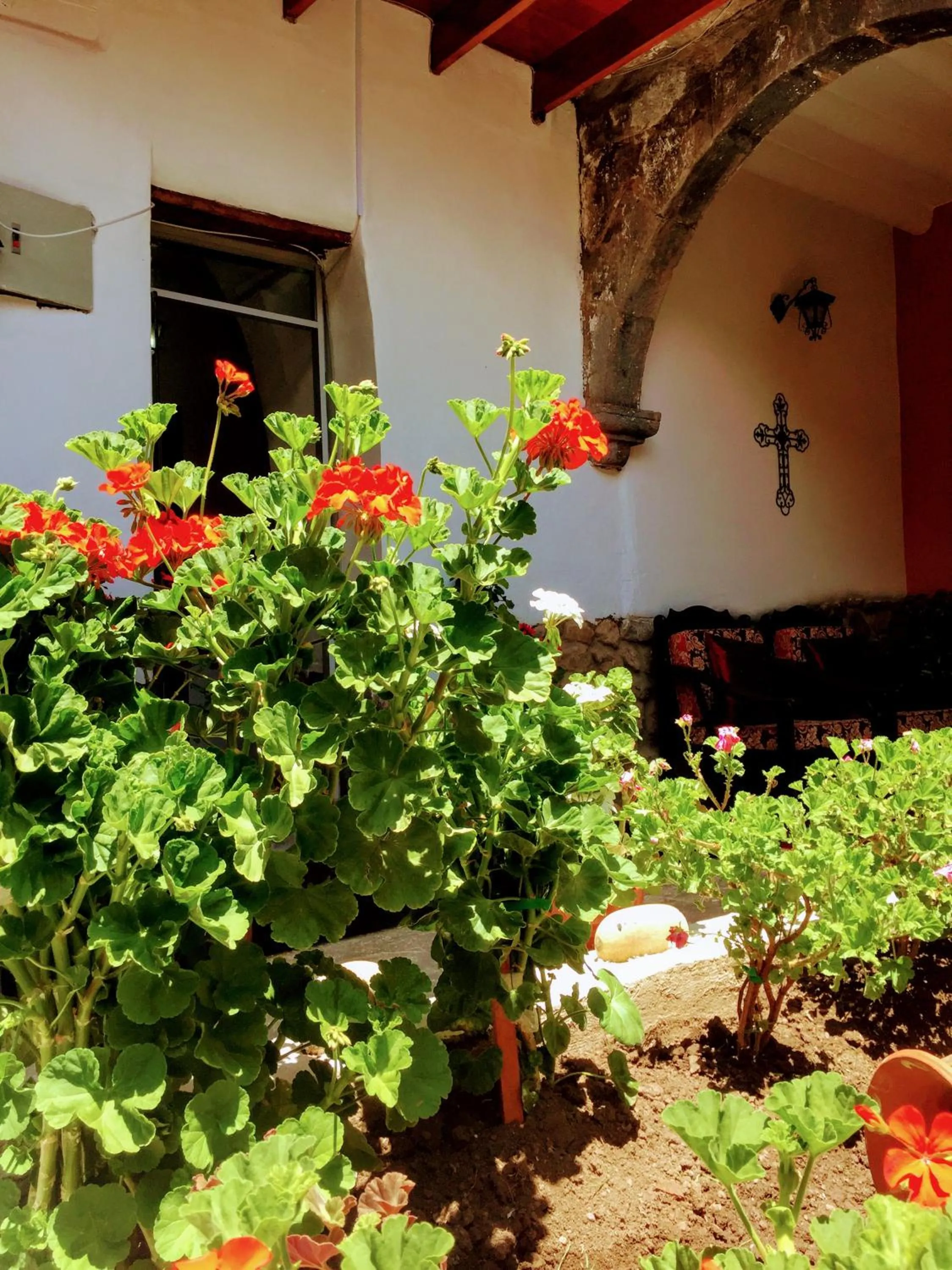 Garden in Kori Gems Inn