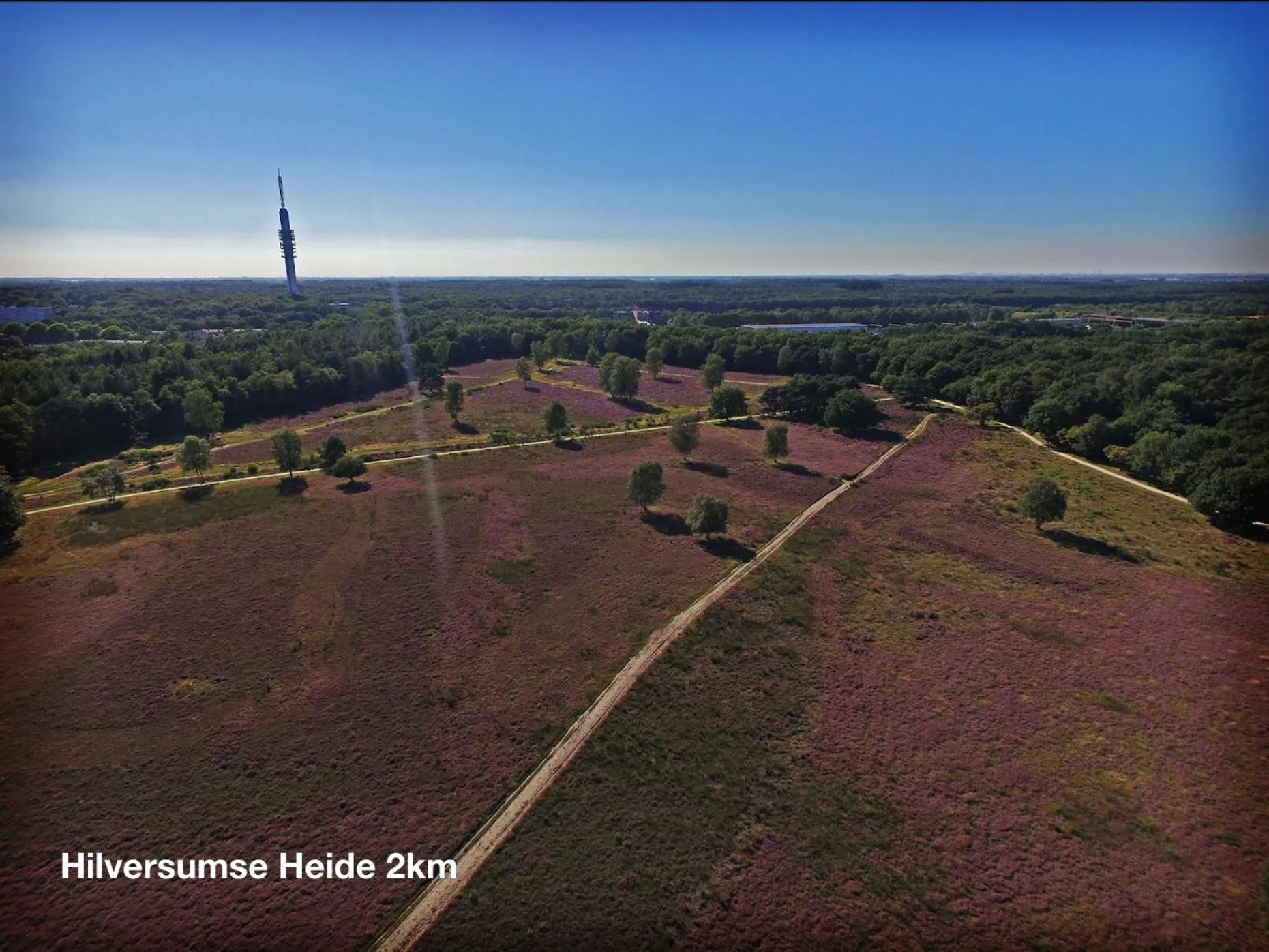 Natural landscape in Boutique hotel Villa Trompenberg