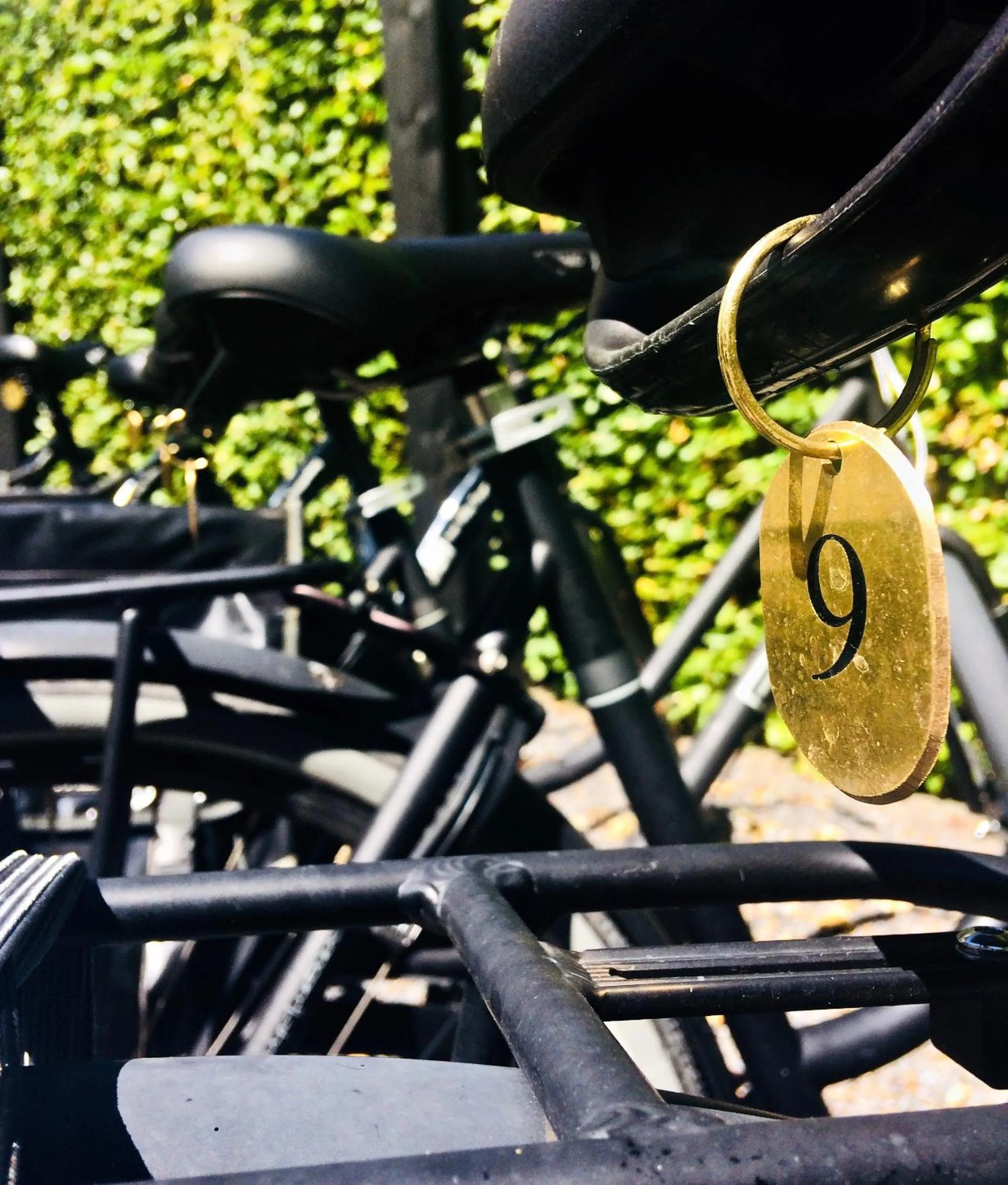 Cycling in Boutique hotel Villa Trompenberg