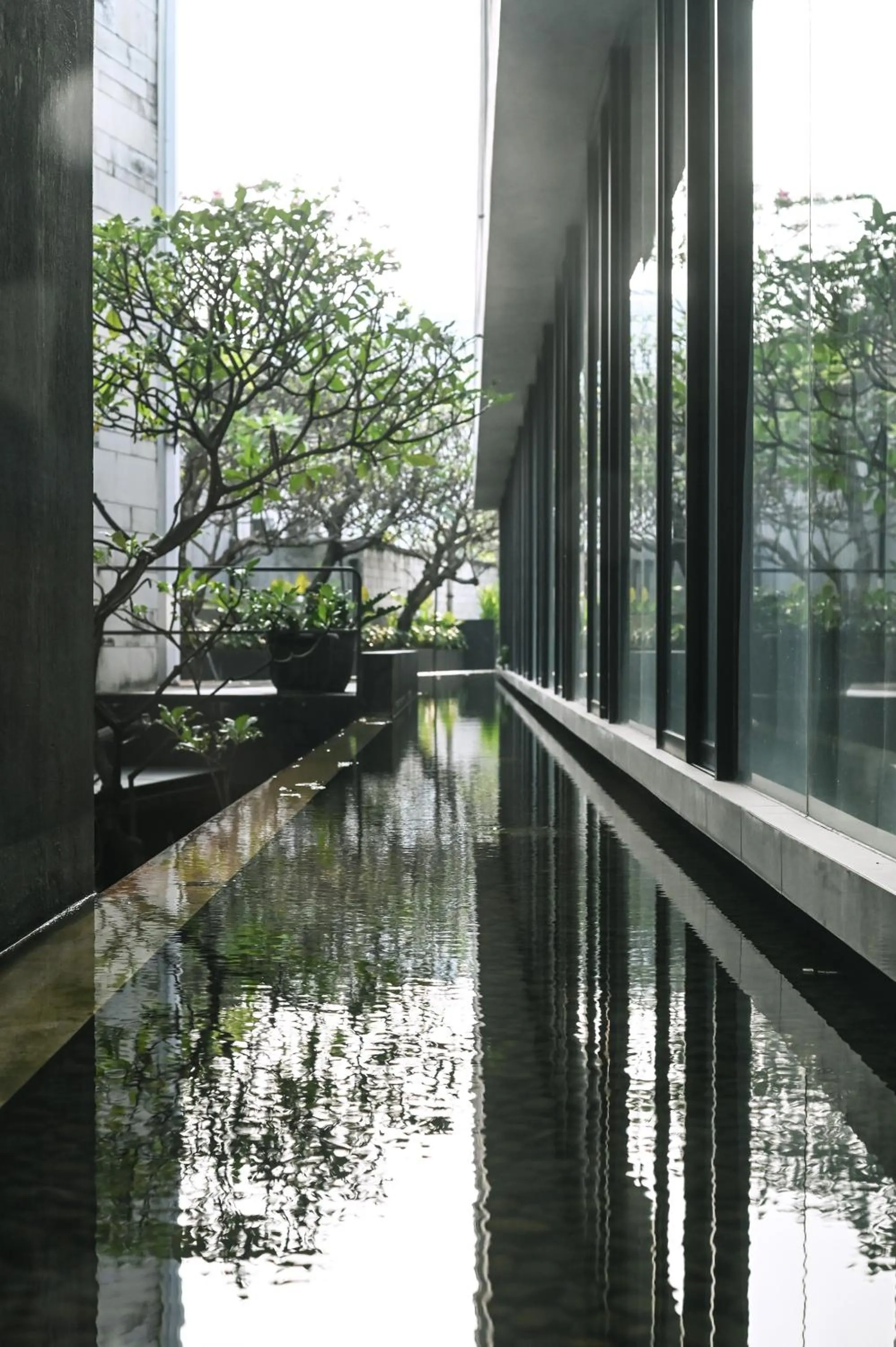 Garden in Miers Kuningan, ARTOTEL Curated