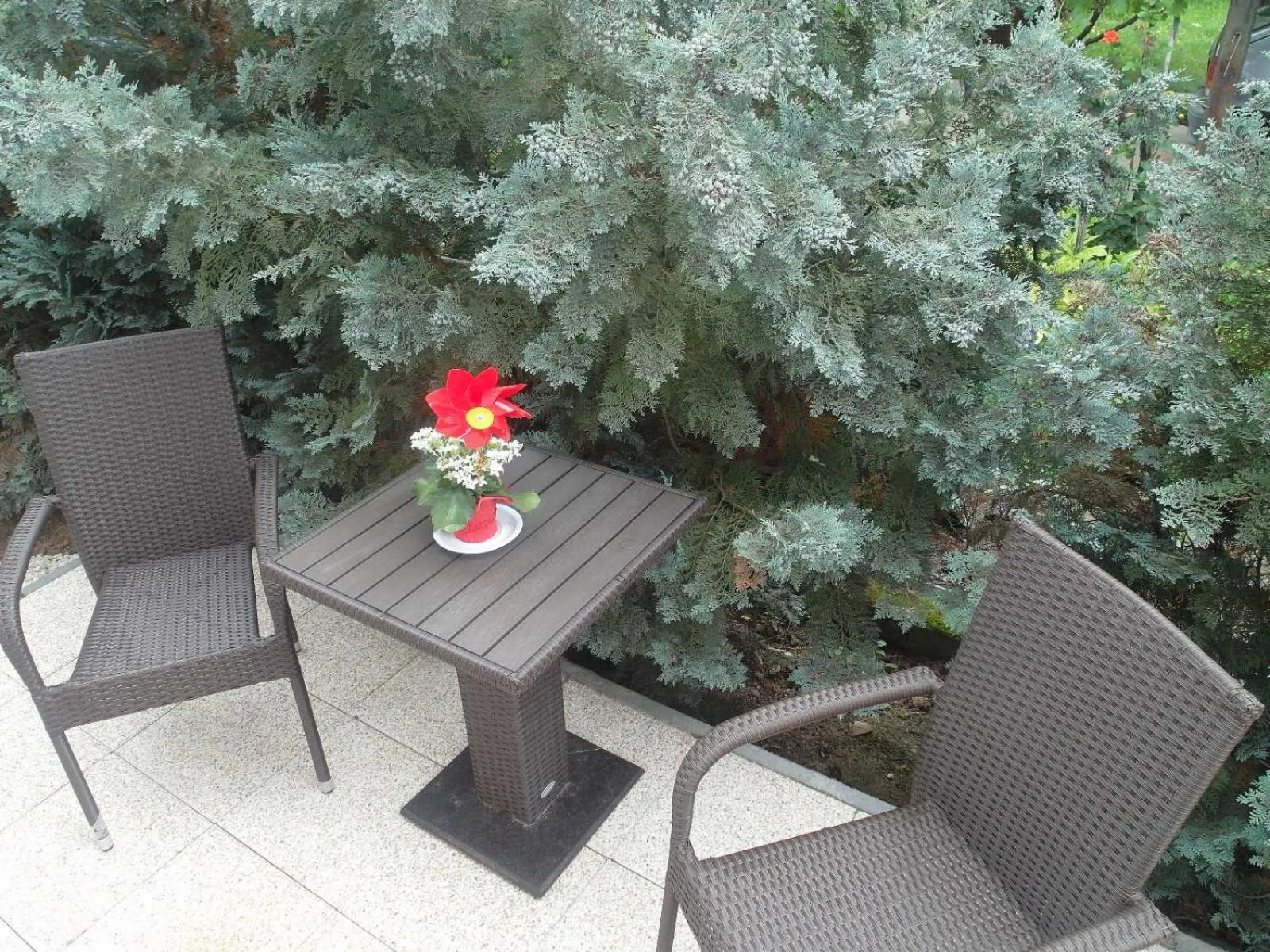 Balcony/Terrace in Tip-Top Apartmenthouse