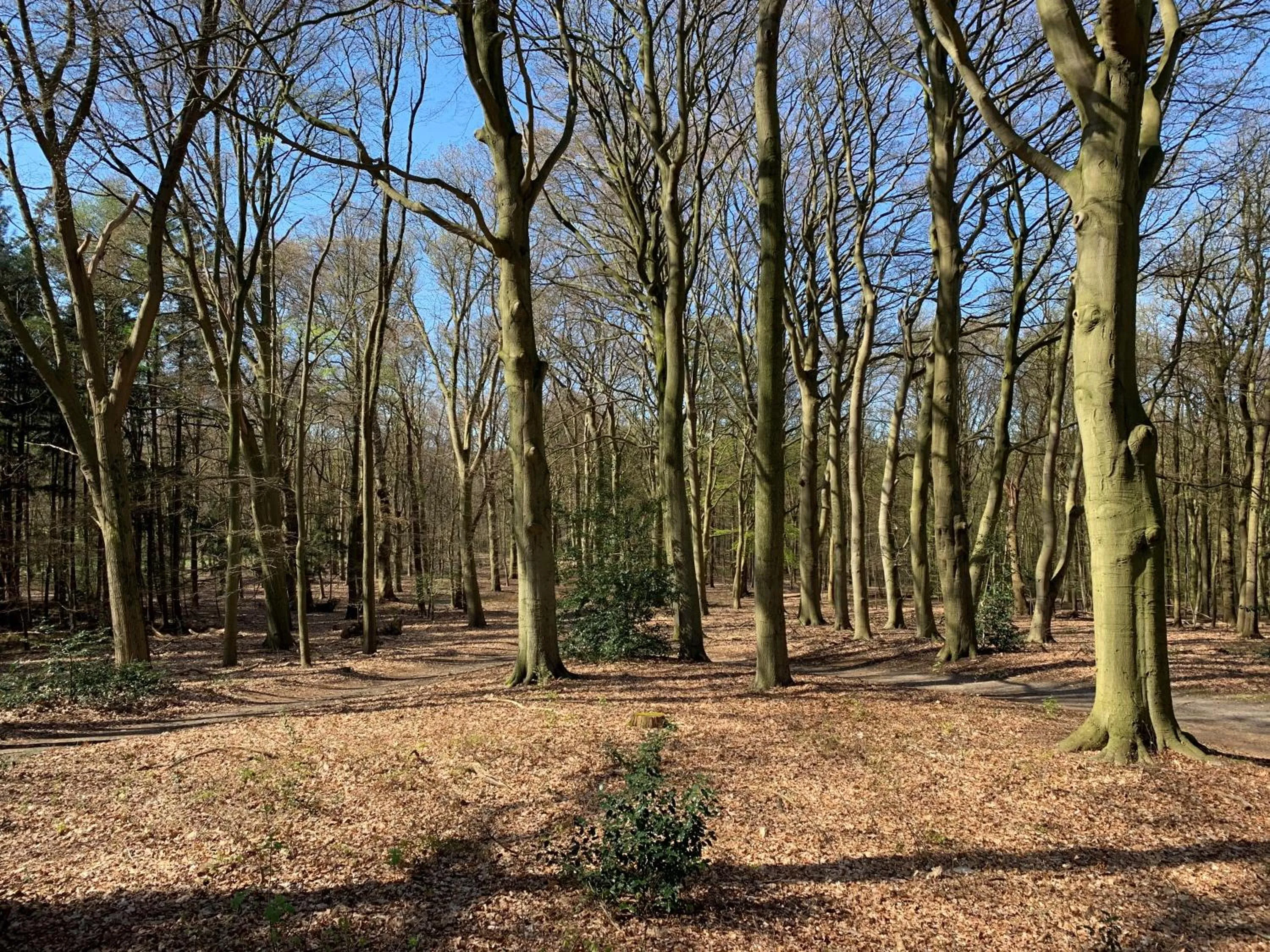 Activities in Villa de Nachtegaal