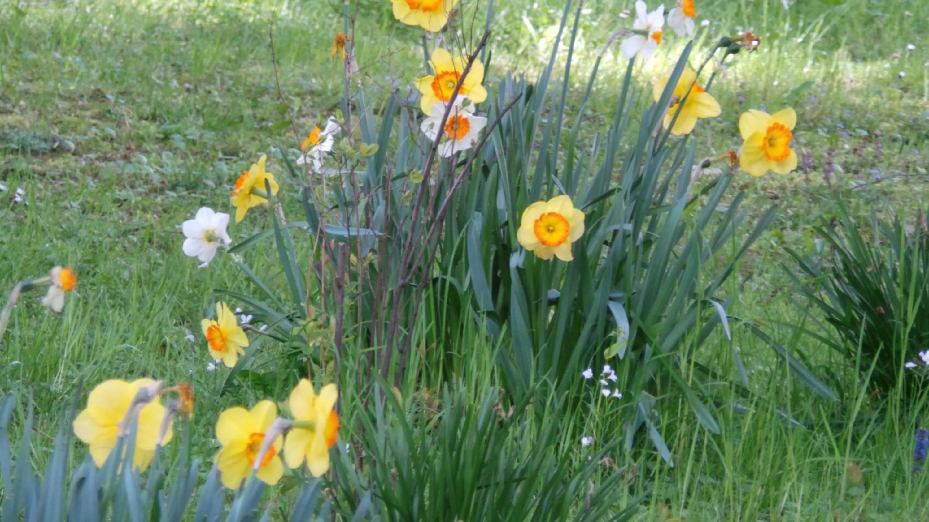 Facade/entrance in Hotel St. Georg