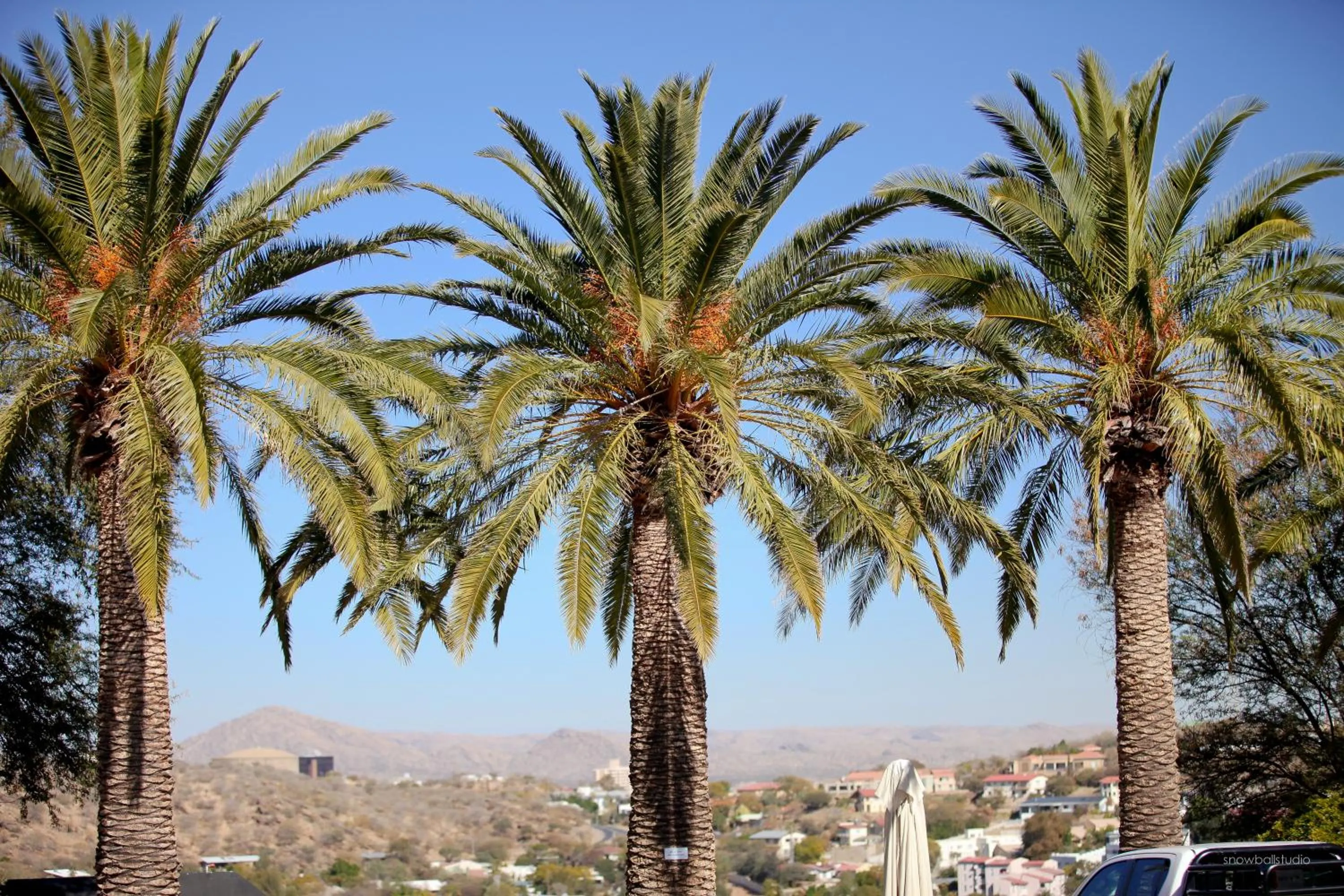 Garden in Hotel Thule