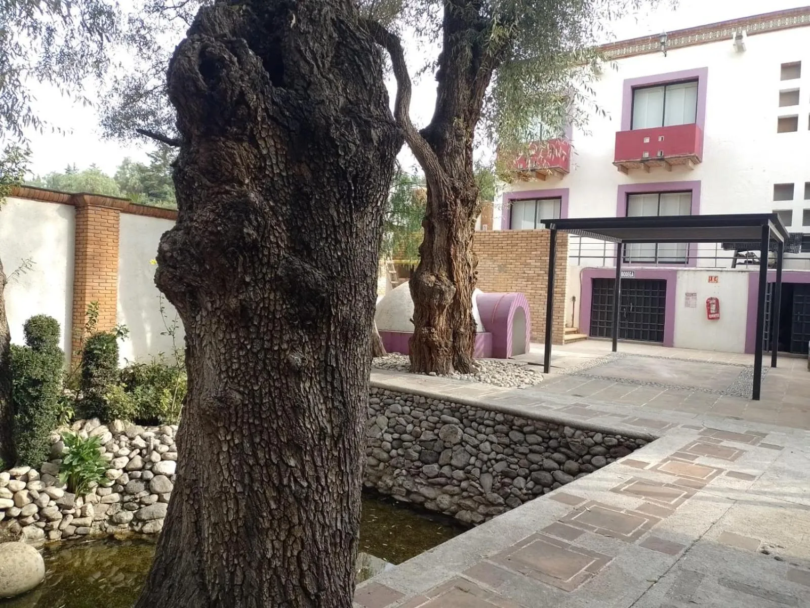 Garden in HOTEL BOUTIQUE CASA DEL BOSQUE
