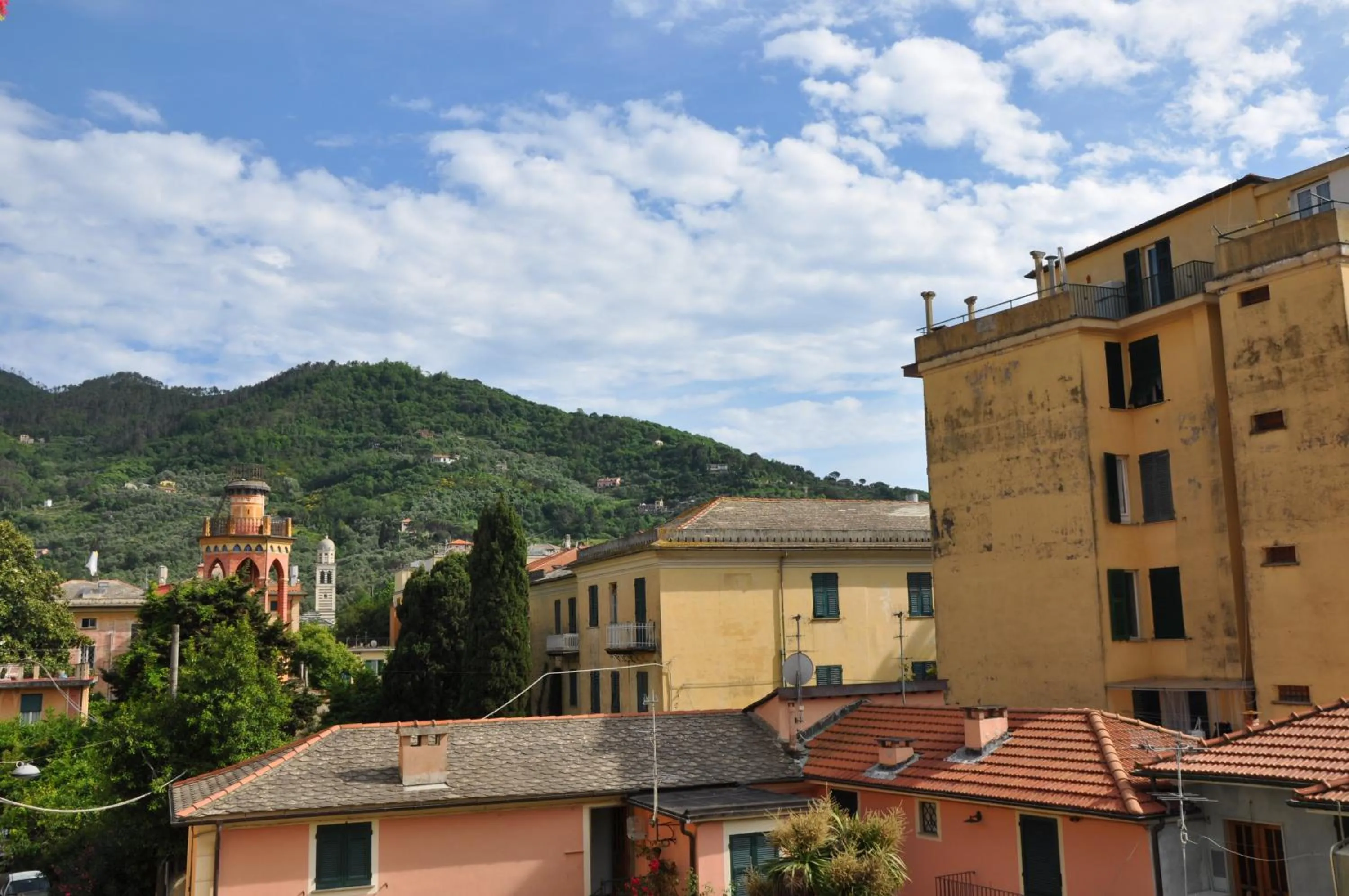 View (from property/room) in Olivia