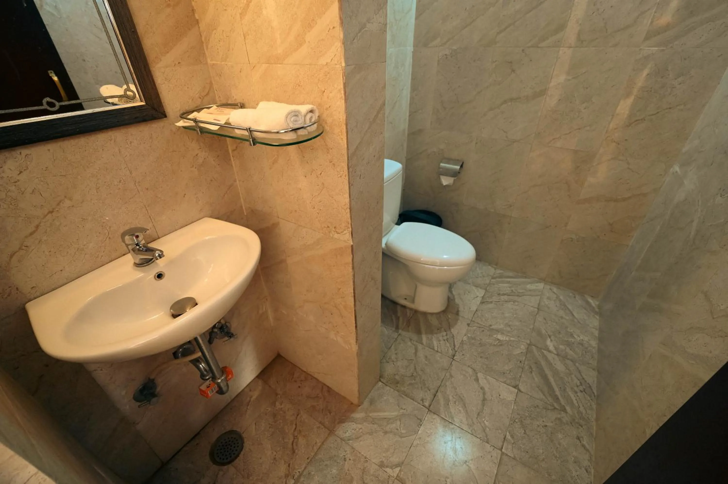 Bathroom in ClarksInn Suites Ranthambhore