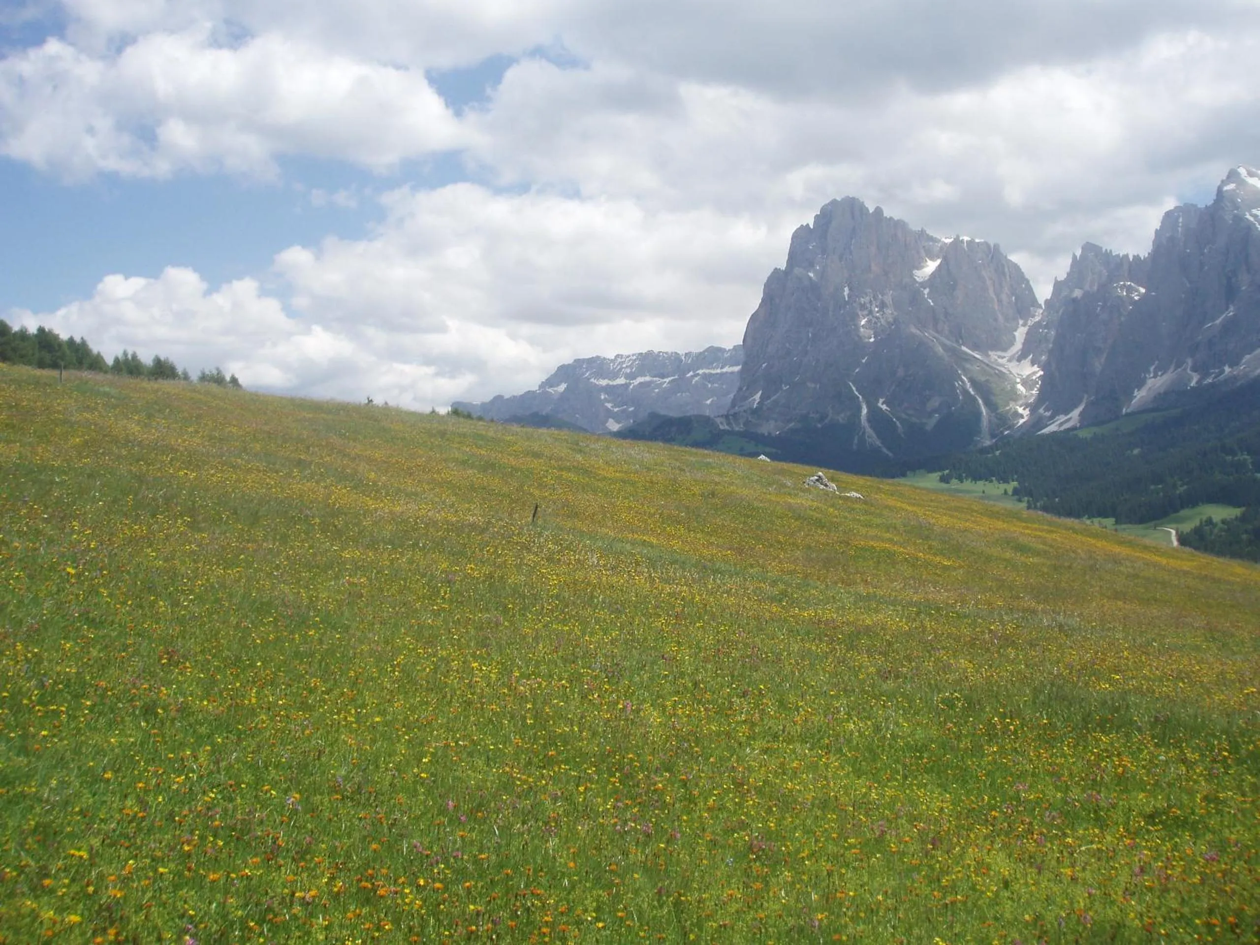 Mountain view in Garni La Majon