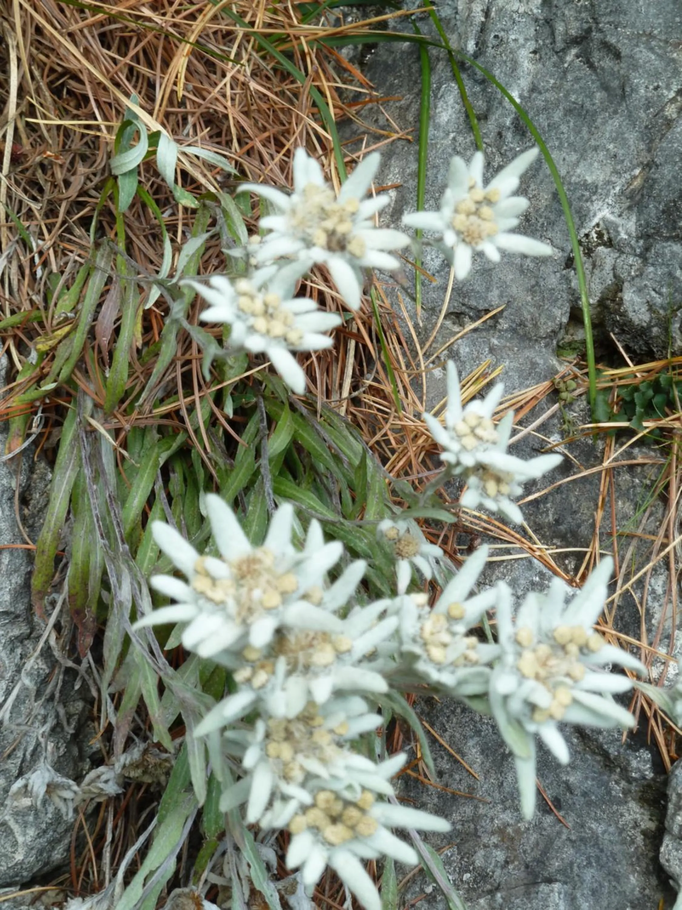Nearby landmark in Garni La Majon