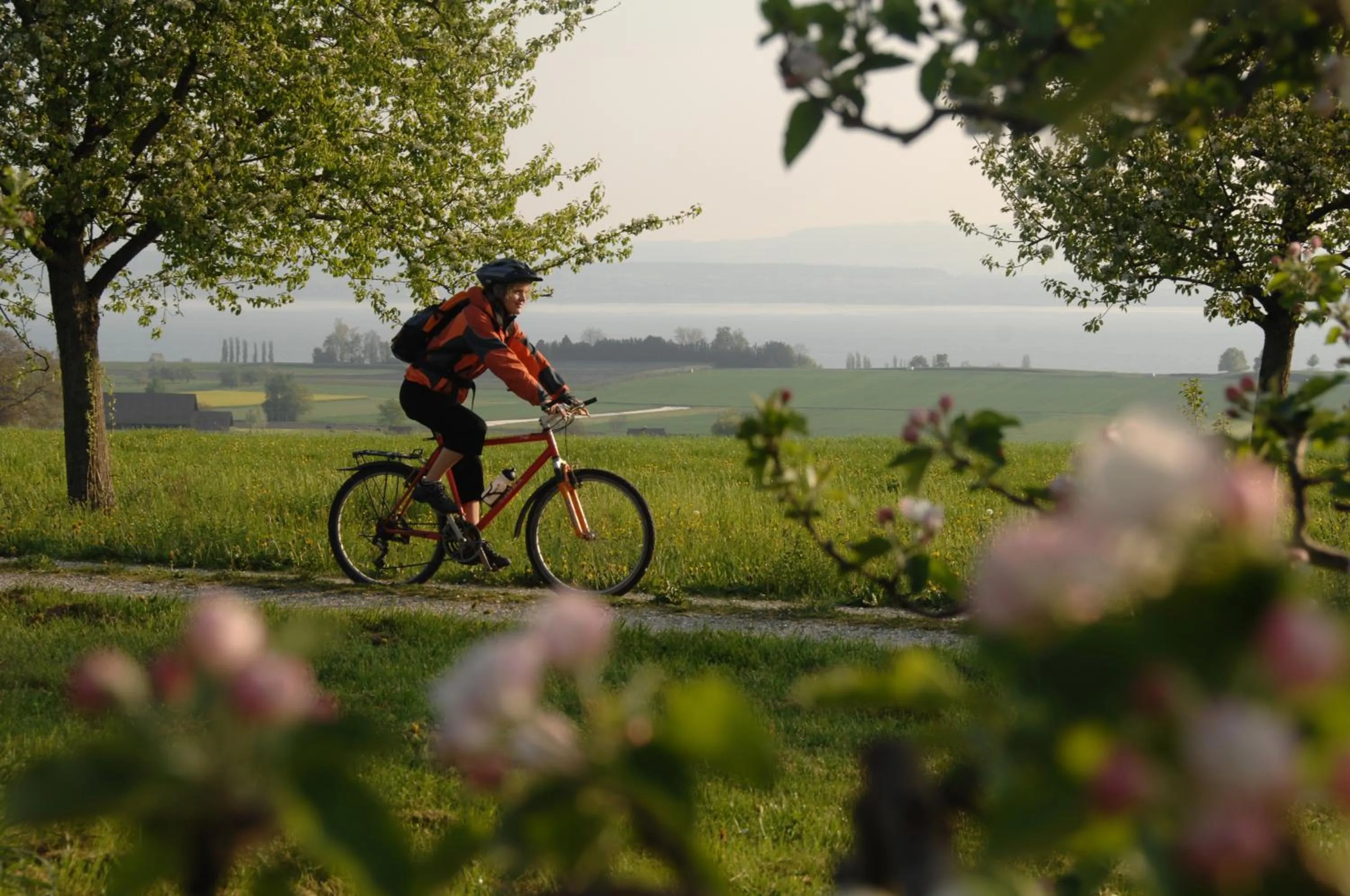 Area and facilities in JUCKERs Boutique-Hotel