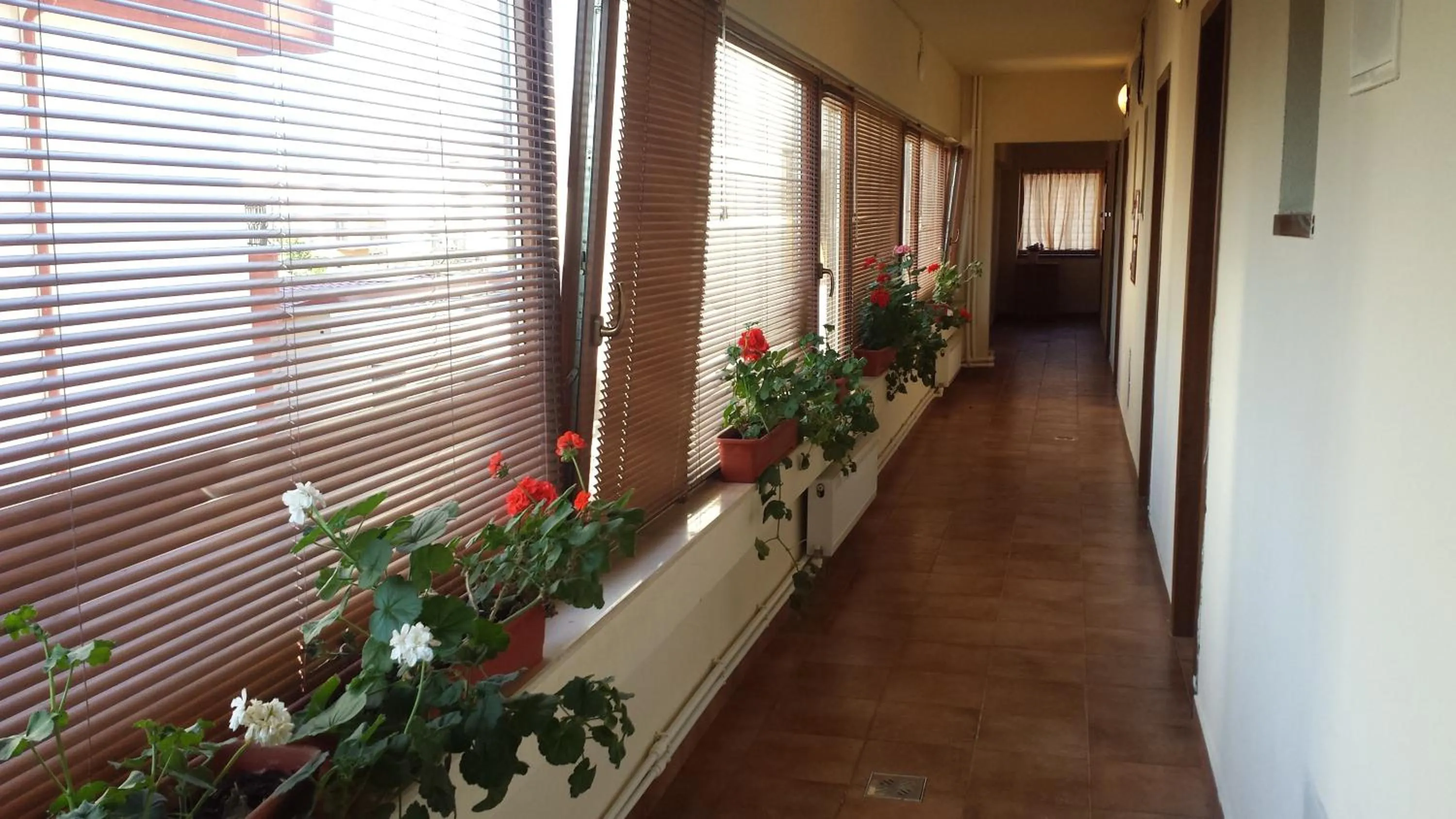 Lobby or reception in Hostel Nova Route