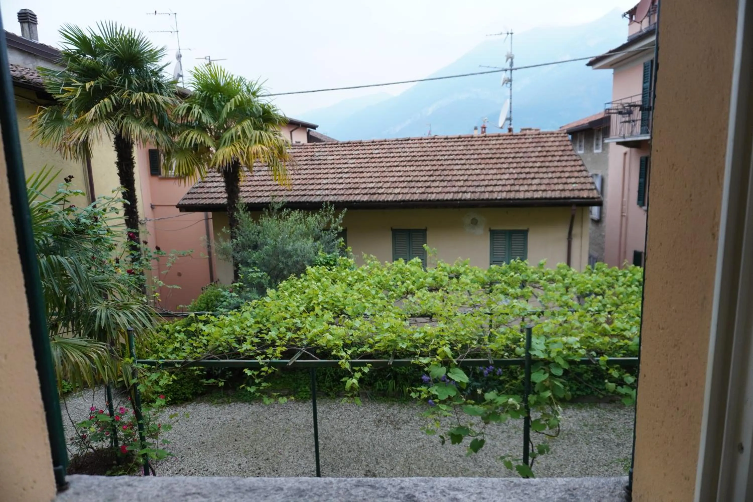Garden in Albergo Giardinetto