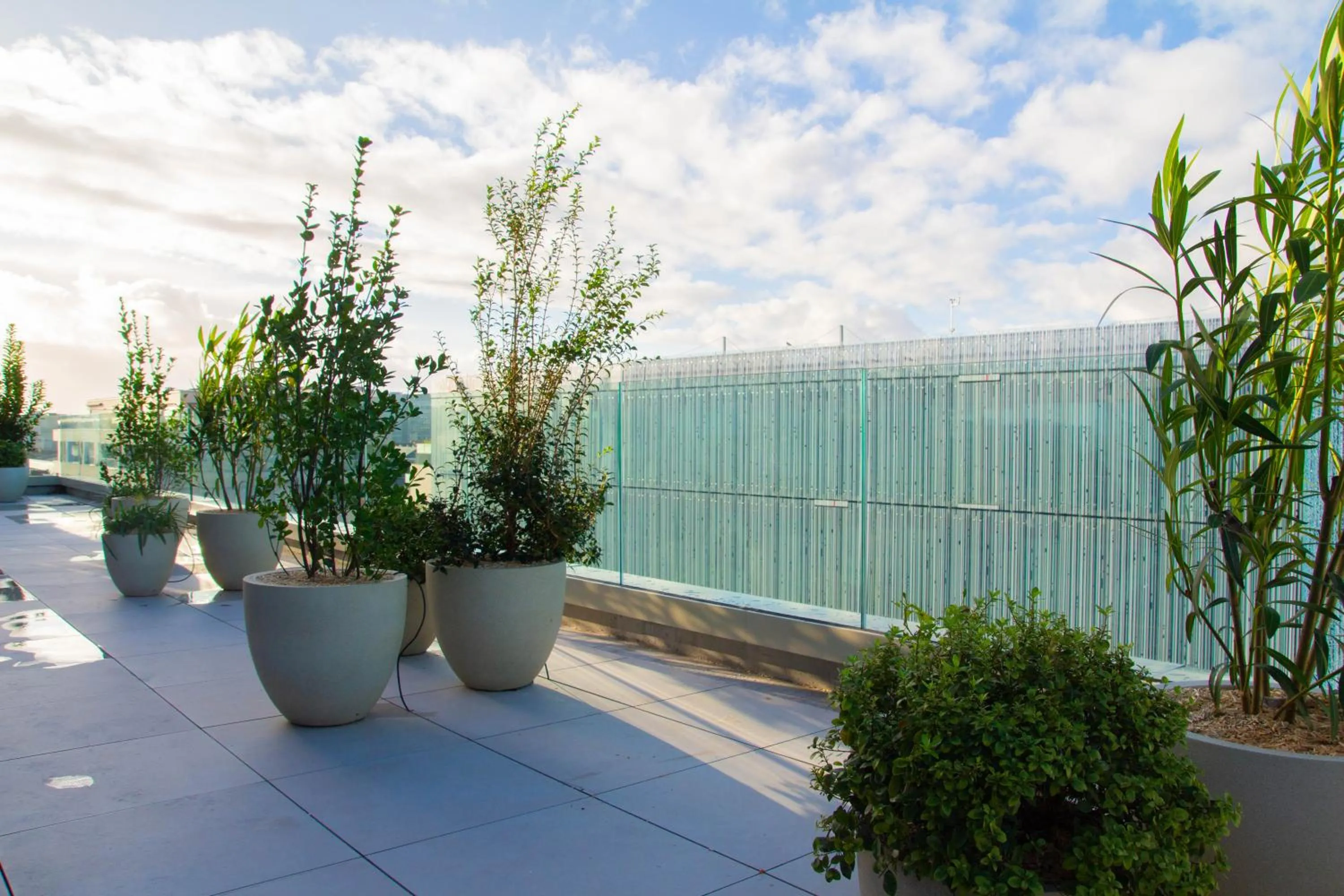 Day in Hôtel de la Cité