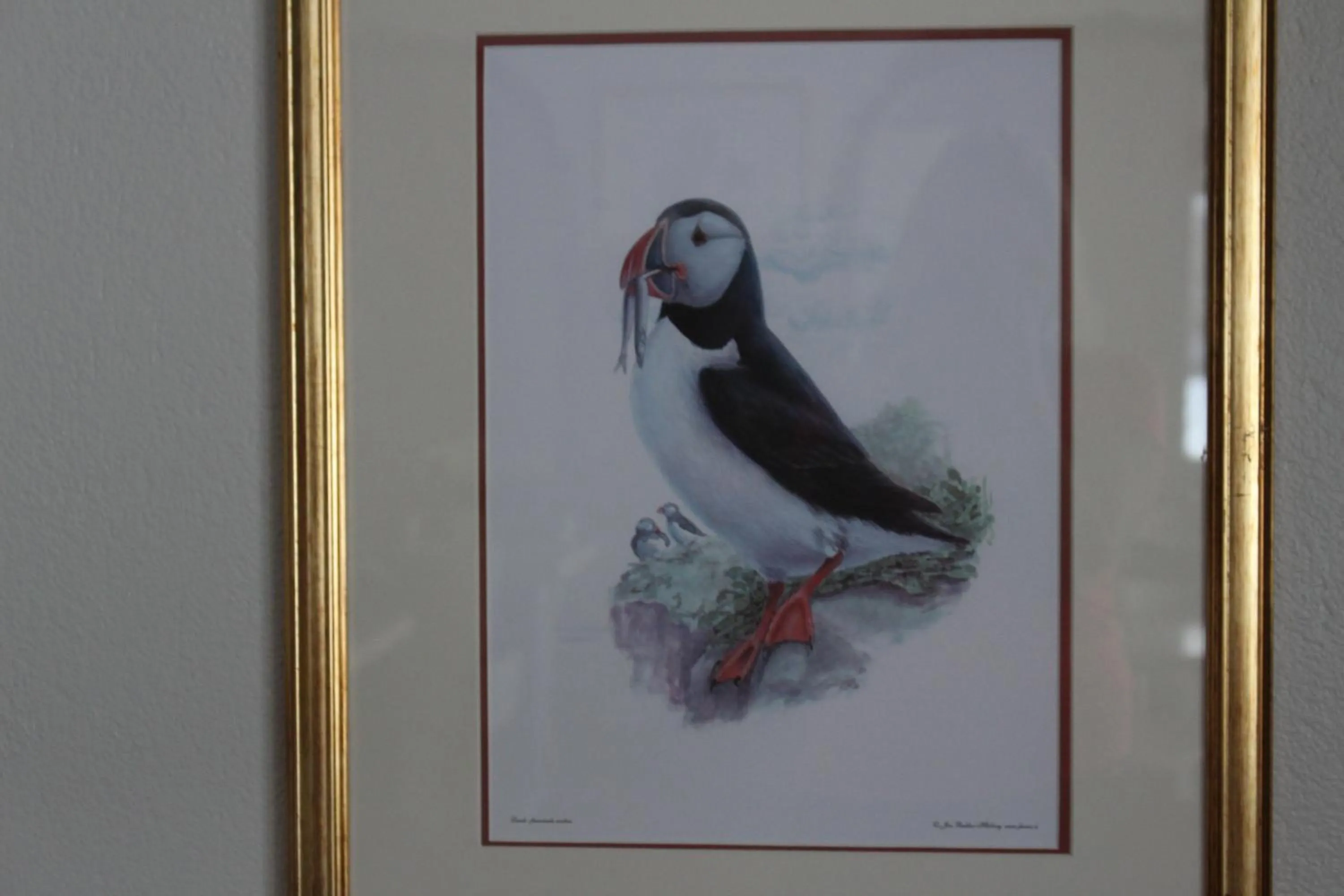 Welcome Riverside Guesthouse